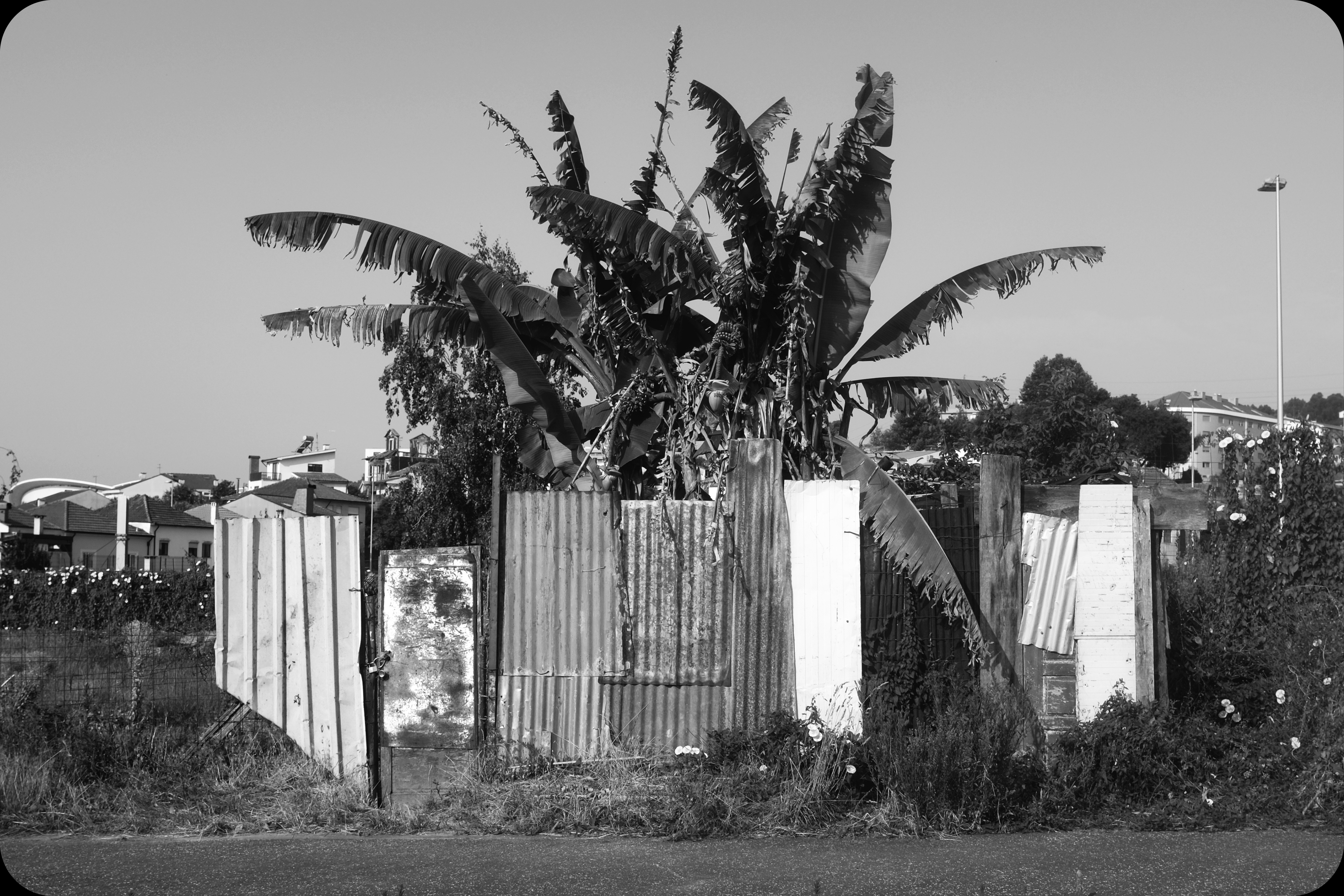 → new city, old suburb [passeio]