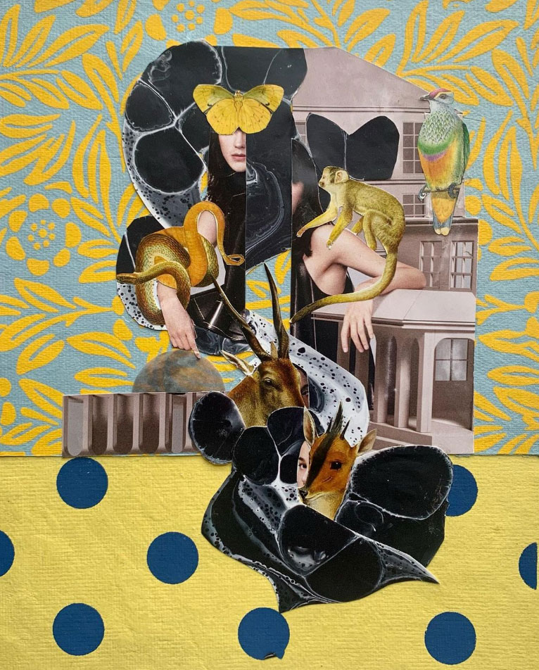 Jett Ulaner Sarachek