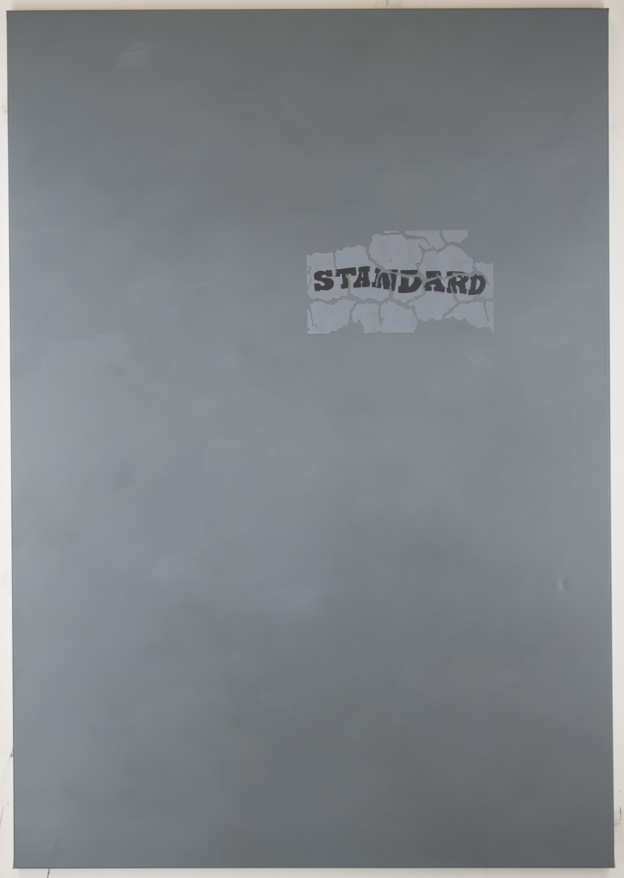 Standard. Acrylic on polystercanvas. 70x100cm. 2019