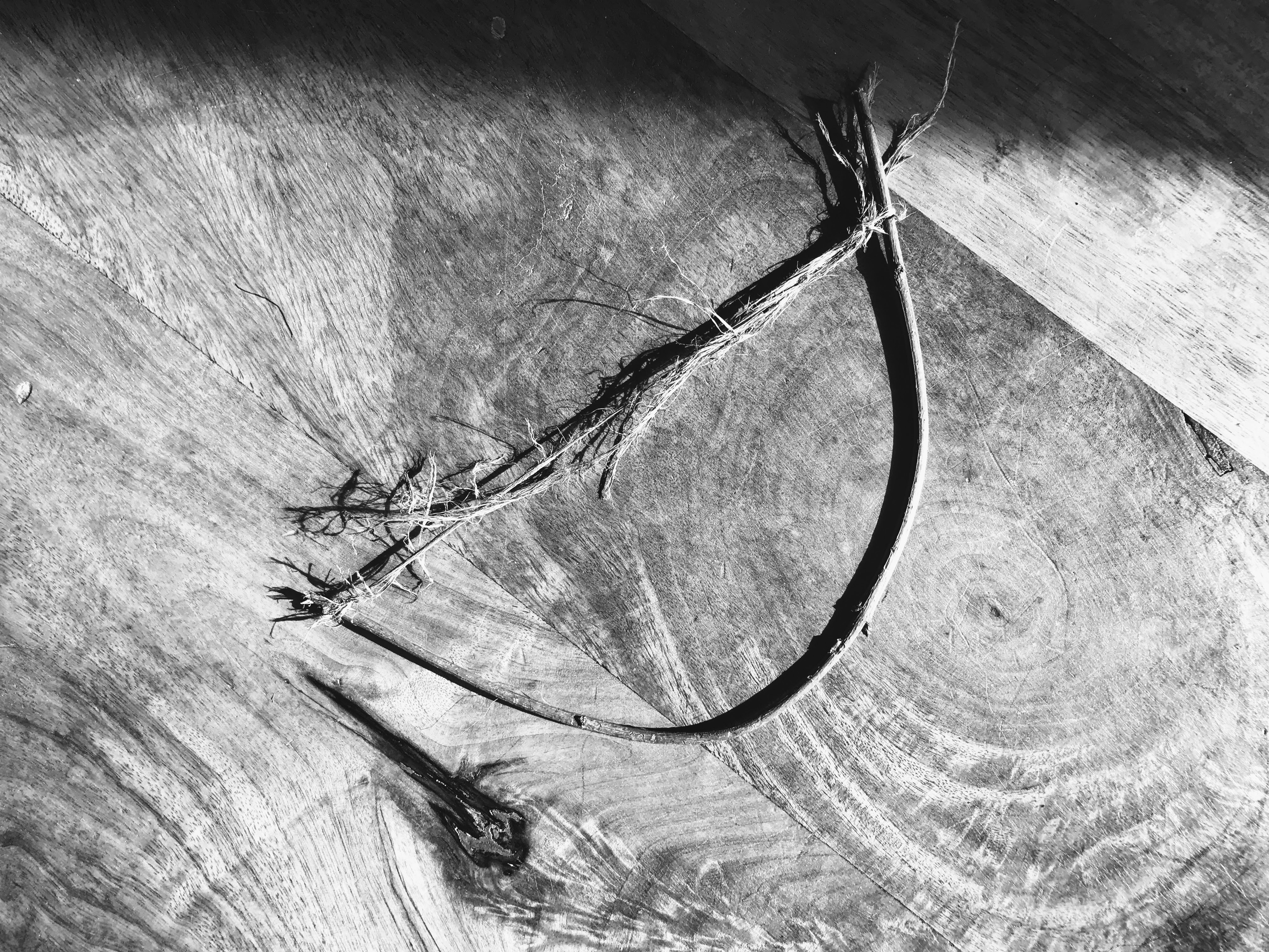 Mini-arco che ho costruito, Bologna, 17-10-17