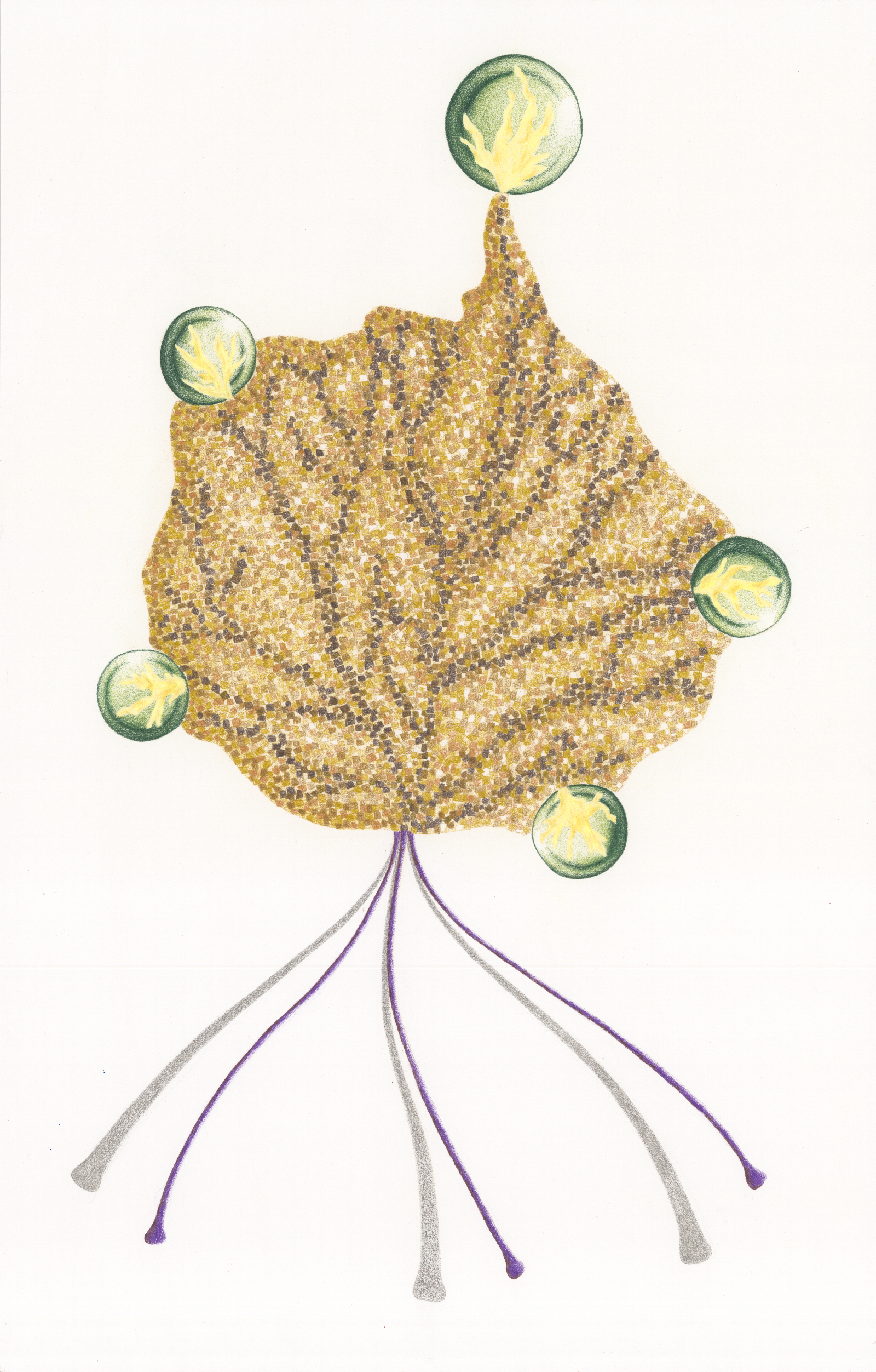 Sweet Sweet Darkness, coloured pencil on paper, 38 x 60cm, 2022