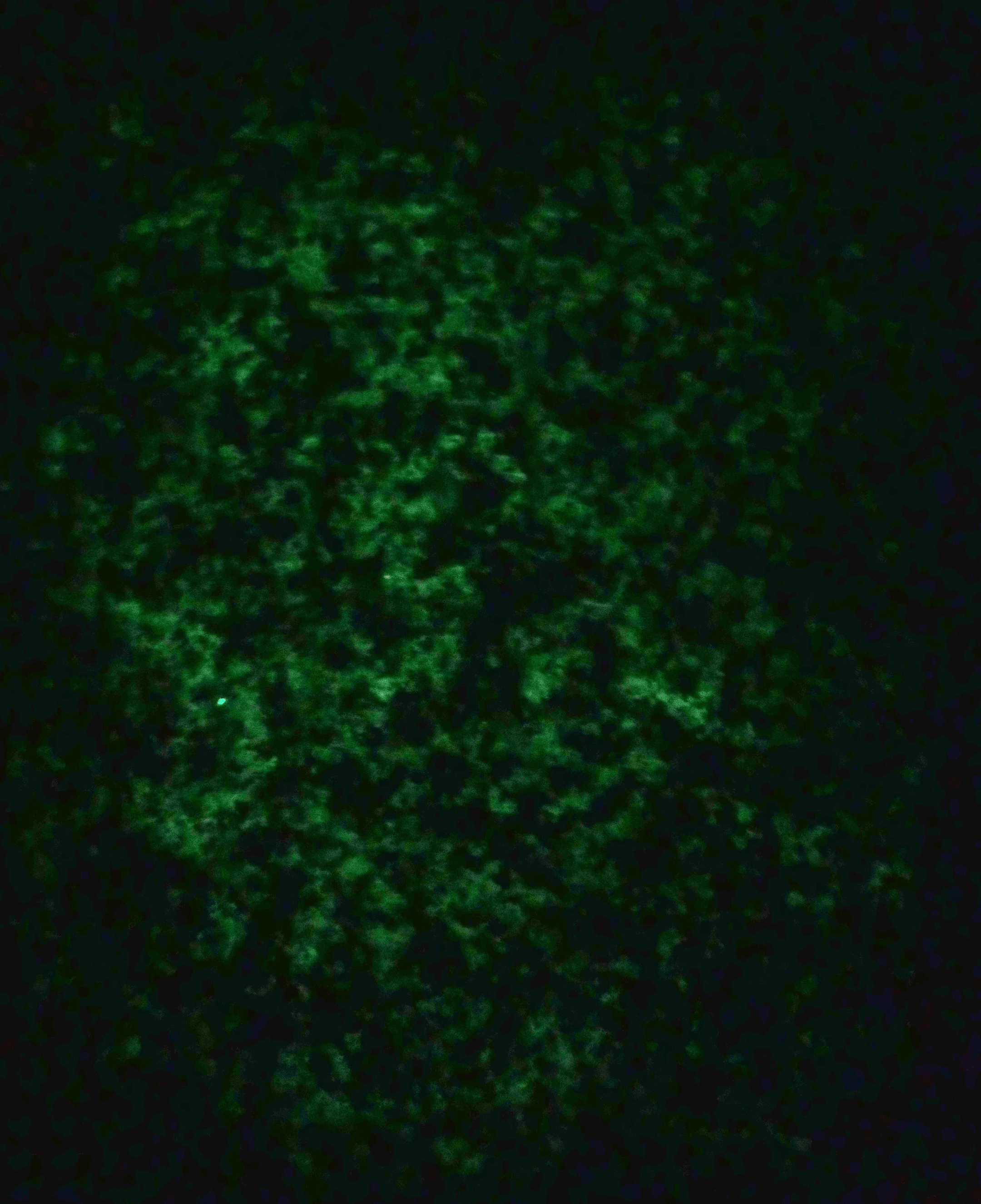 ~ Lights on, Lights off ~