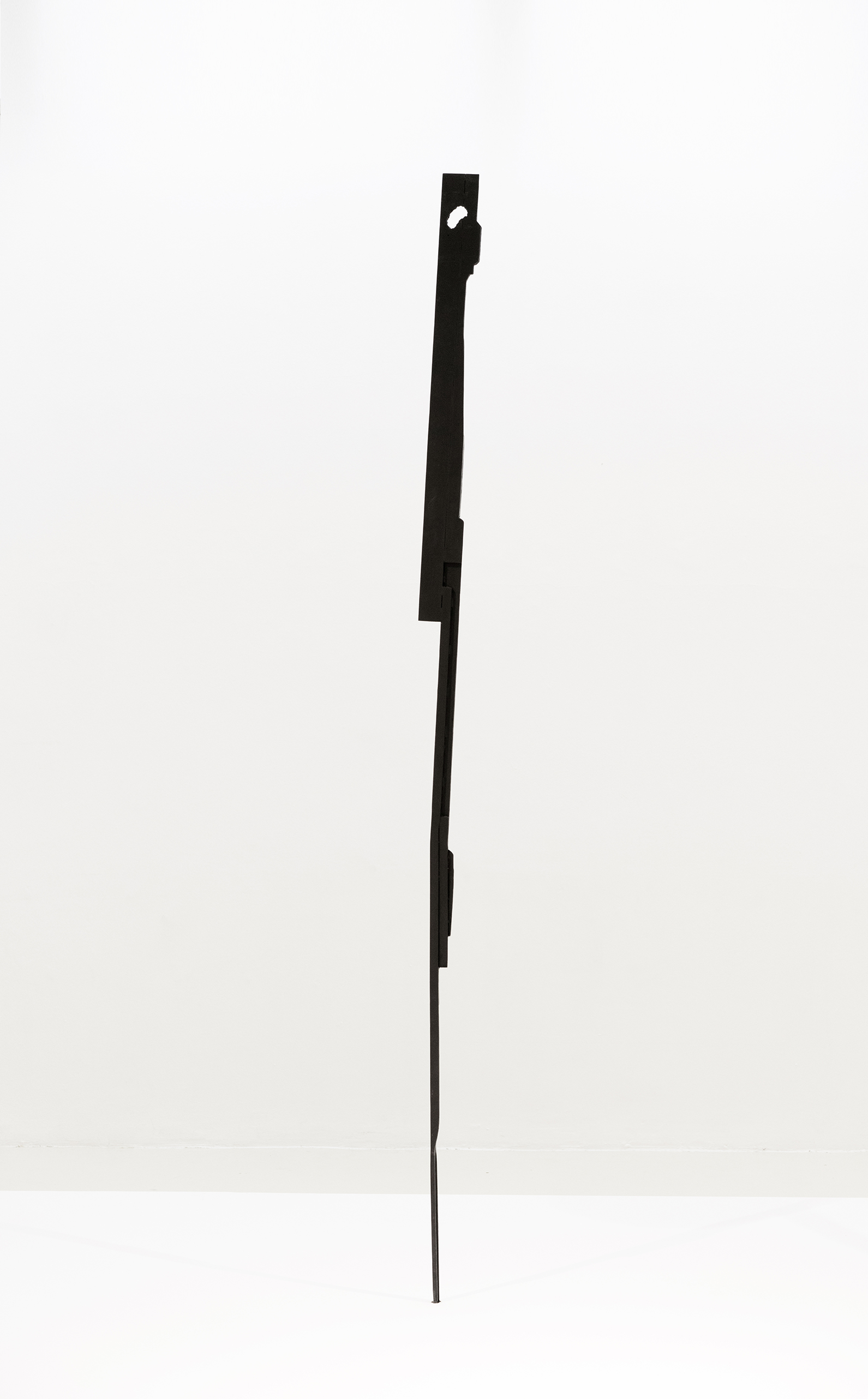 Eye, Oxidized Metal, 247 x 9.5 x 3, 2017