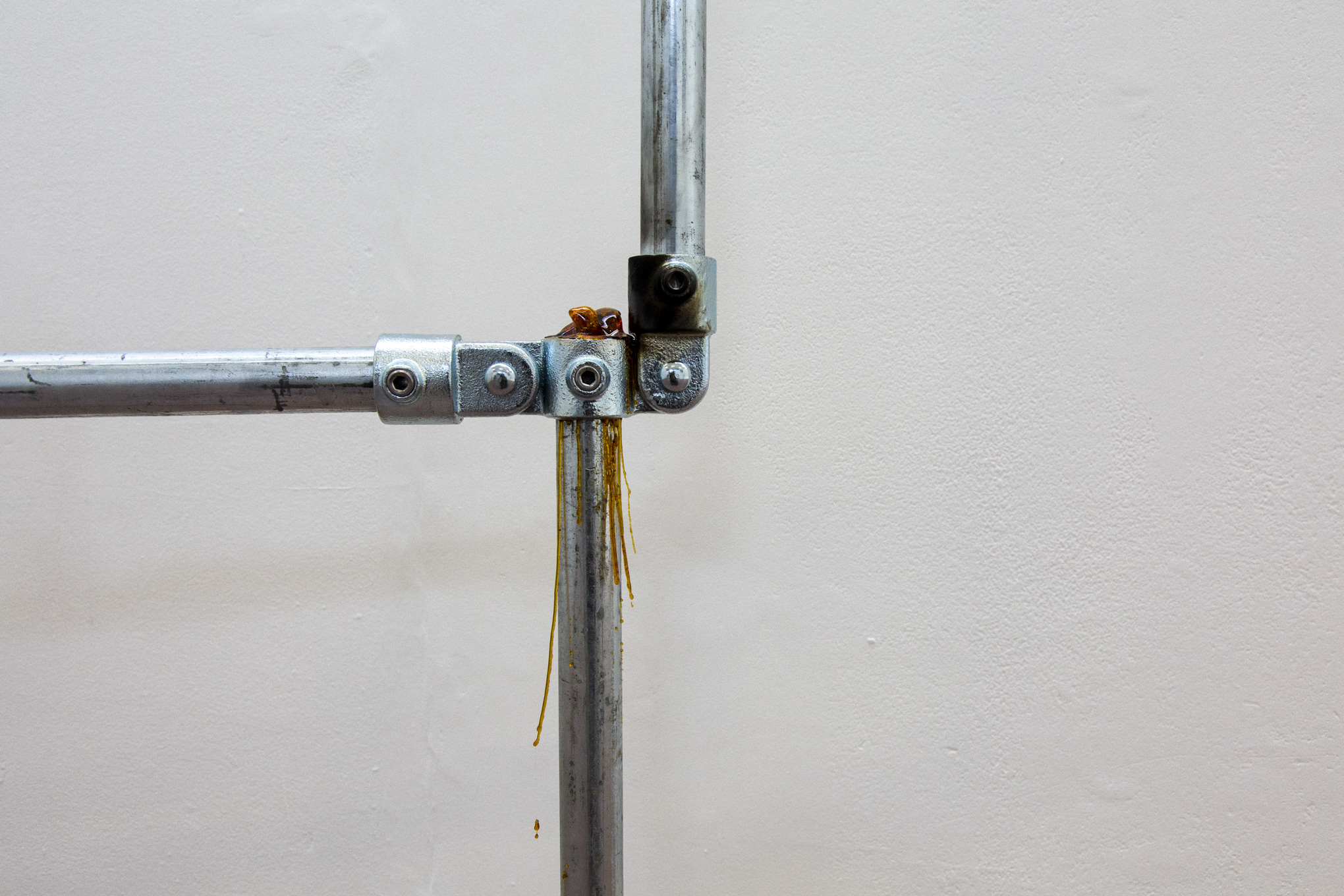 evangelia dimitrakopoulou