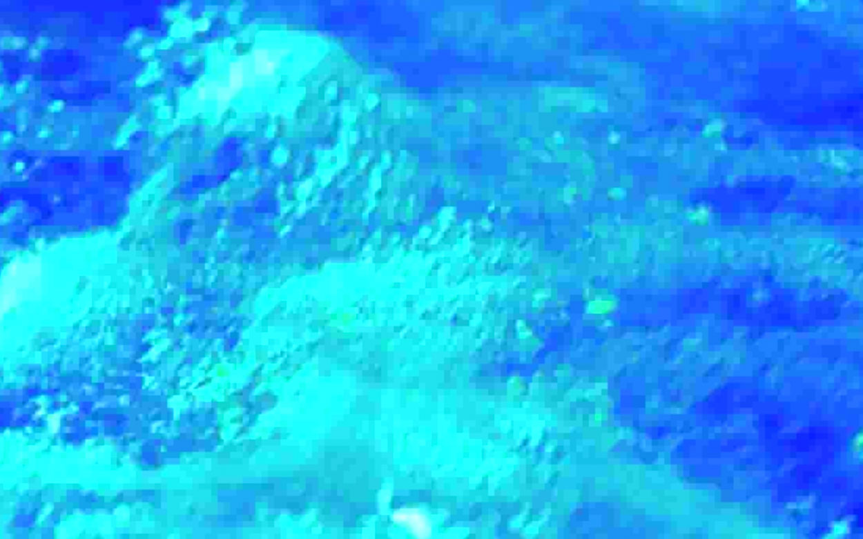 Cameron Platter and Ben JohnsonSolid Waste, 2016 – ongoing. website and video. dimensions, configuration, presentation variable