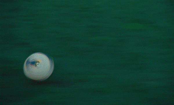 BEATS BY DRE  "SAM KERR"