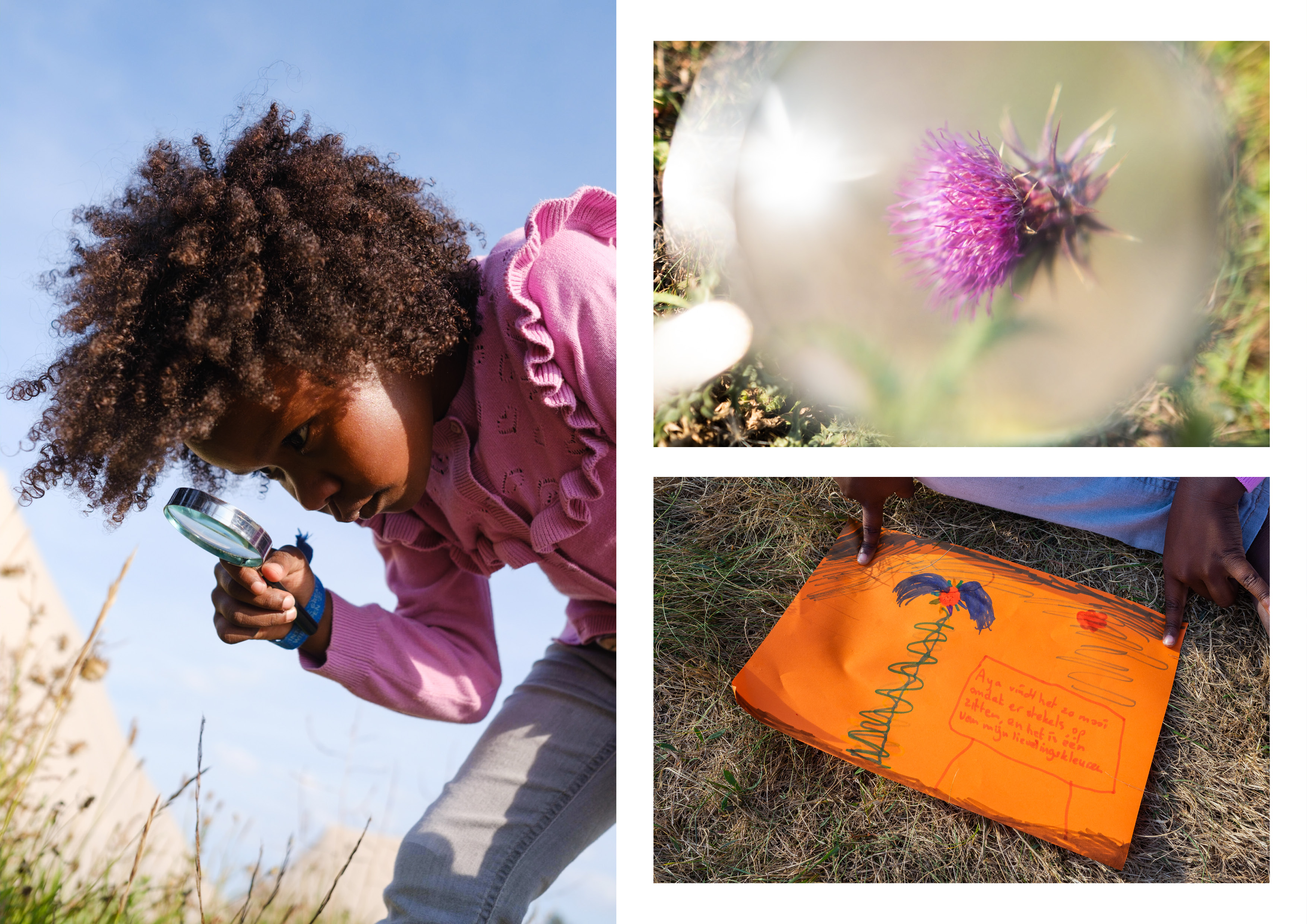 Aya vindt het zo mooi omdat er stekels op zitten en het is een van mijn lievelingskleuren.