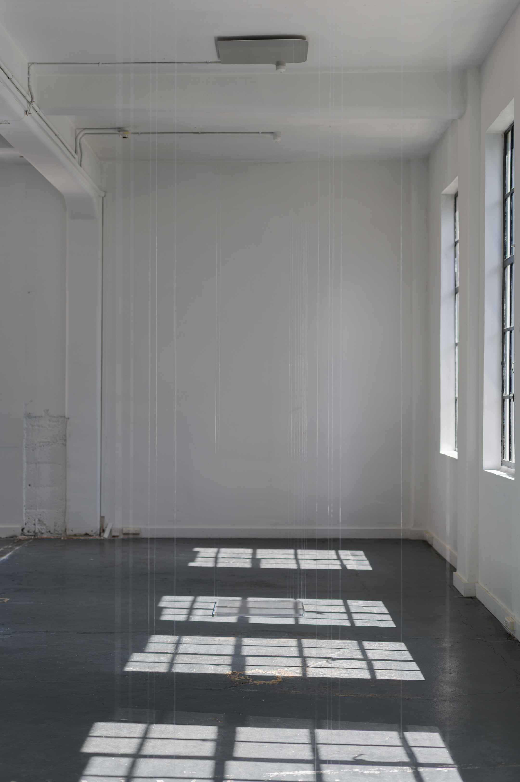 Outset, installation view, Level 4, 99 Willis Street, 3:25PM, 11 November 2025