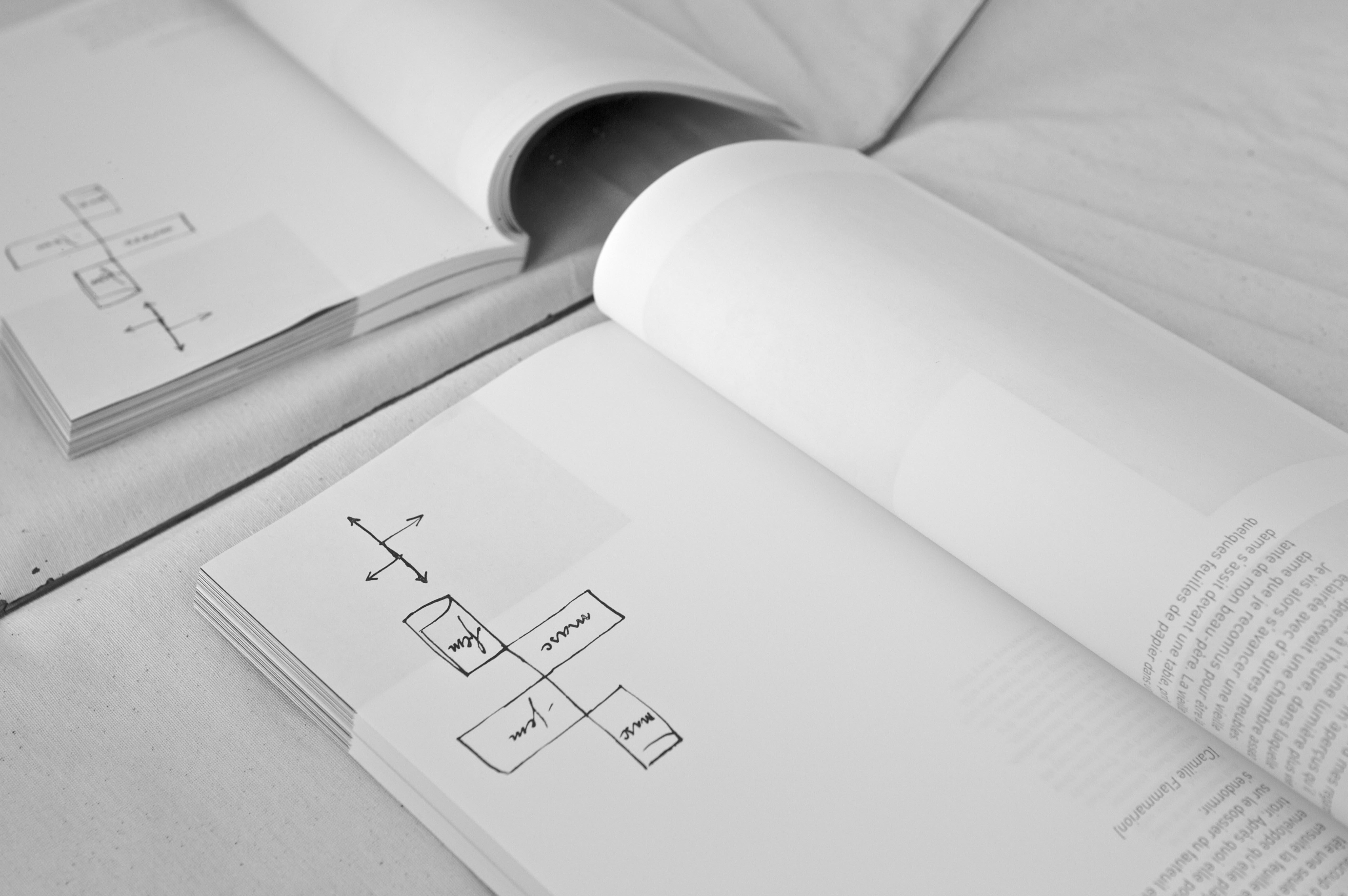 alt="Ion Grigorescu From static oblivion book spread"