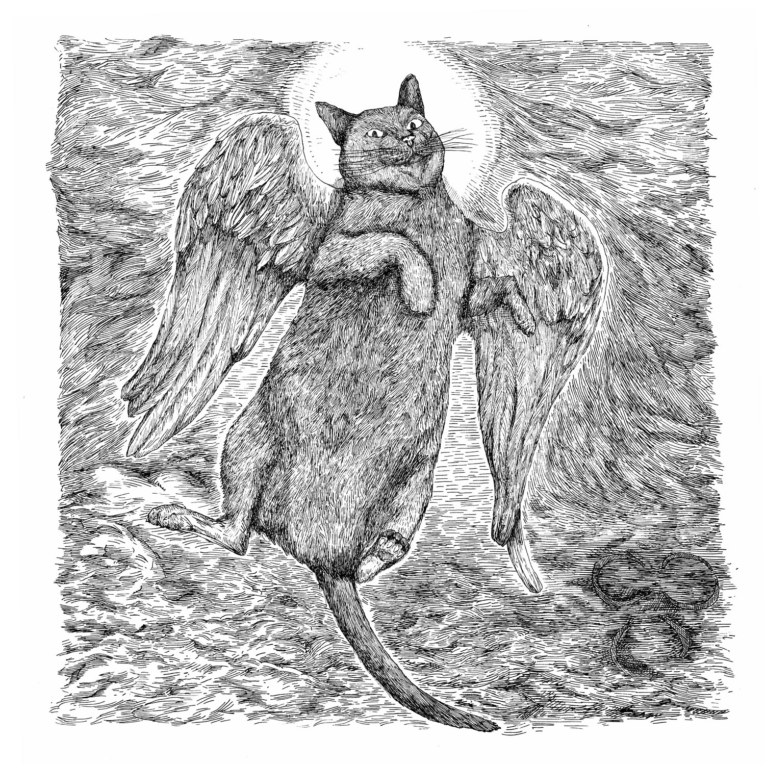 This Cat has Gone To Heavenpen and ink, 13’X13’, 2022