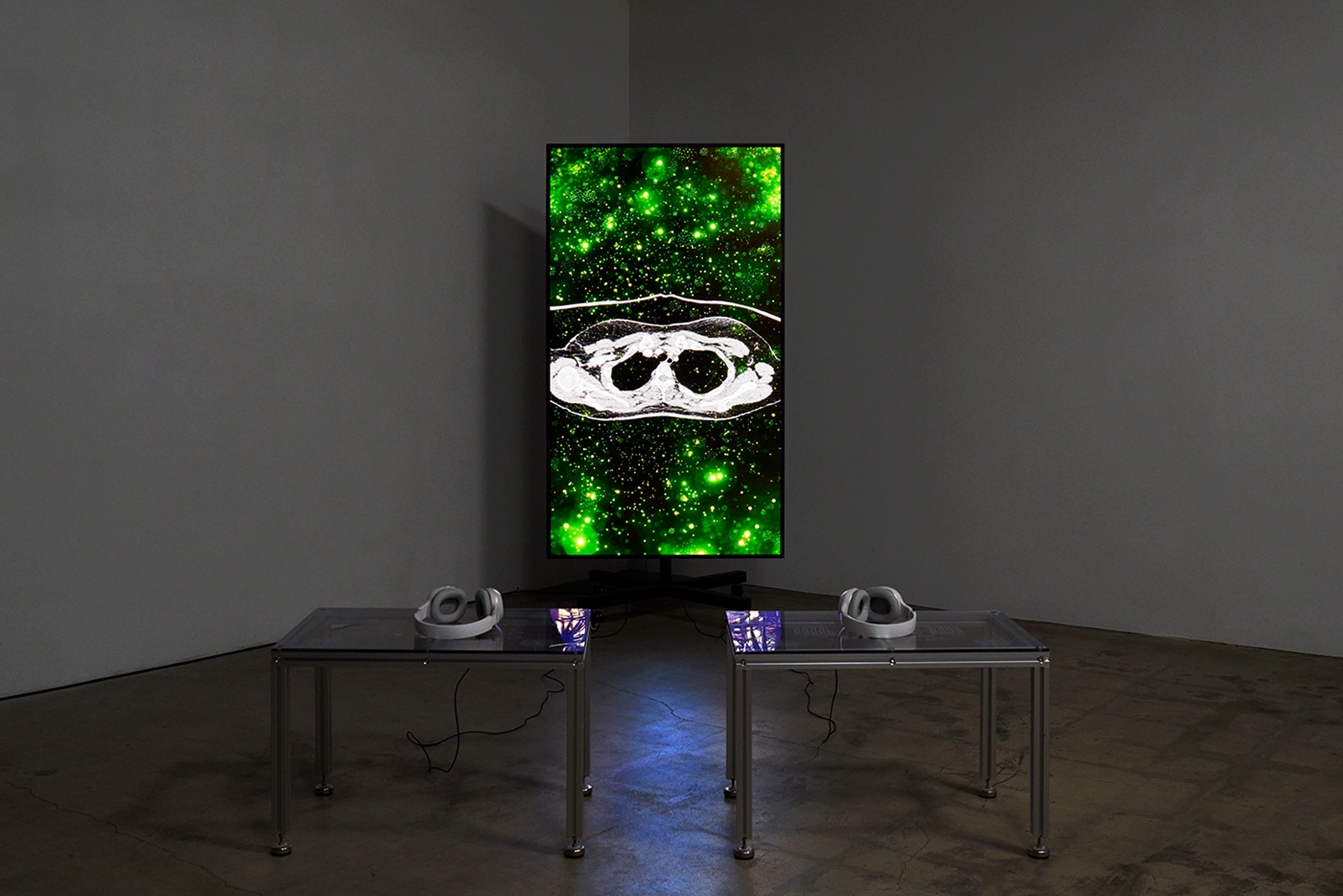 Tracking, Envisioning, Boundless (2023)