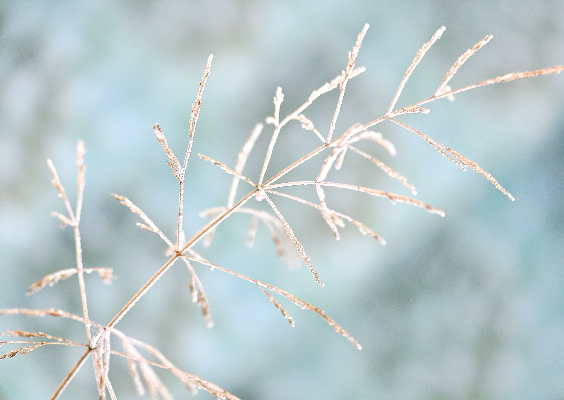 Nr. 235  filigran-quirlig