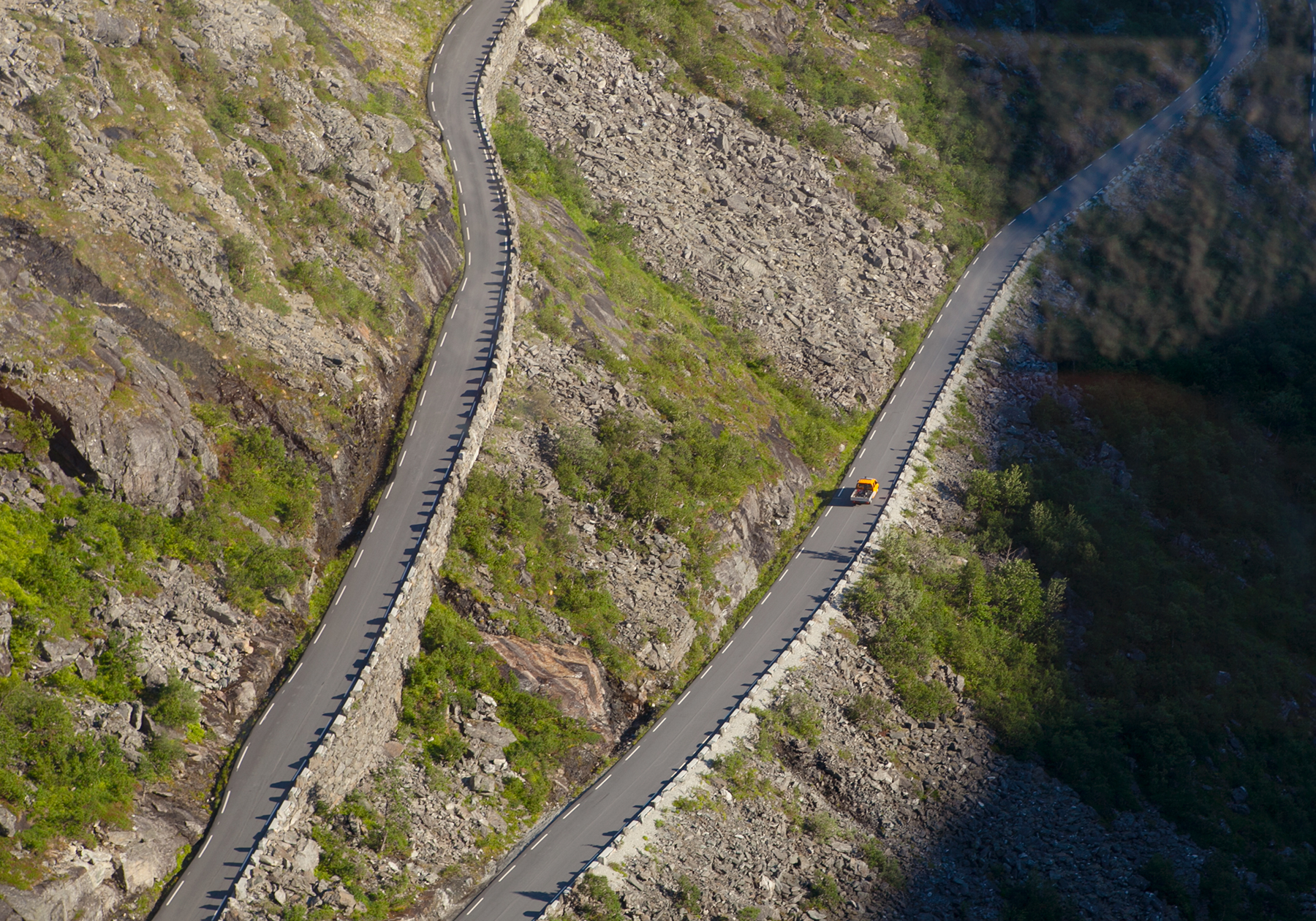 Domingo Nardulli TIFF