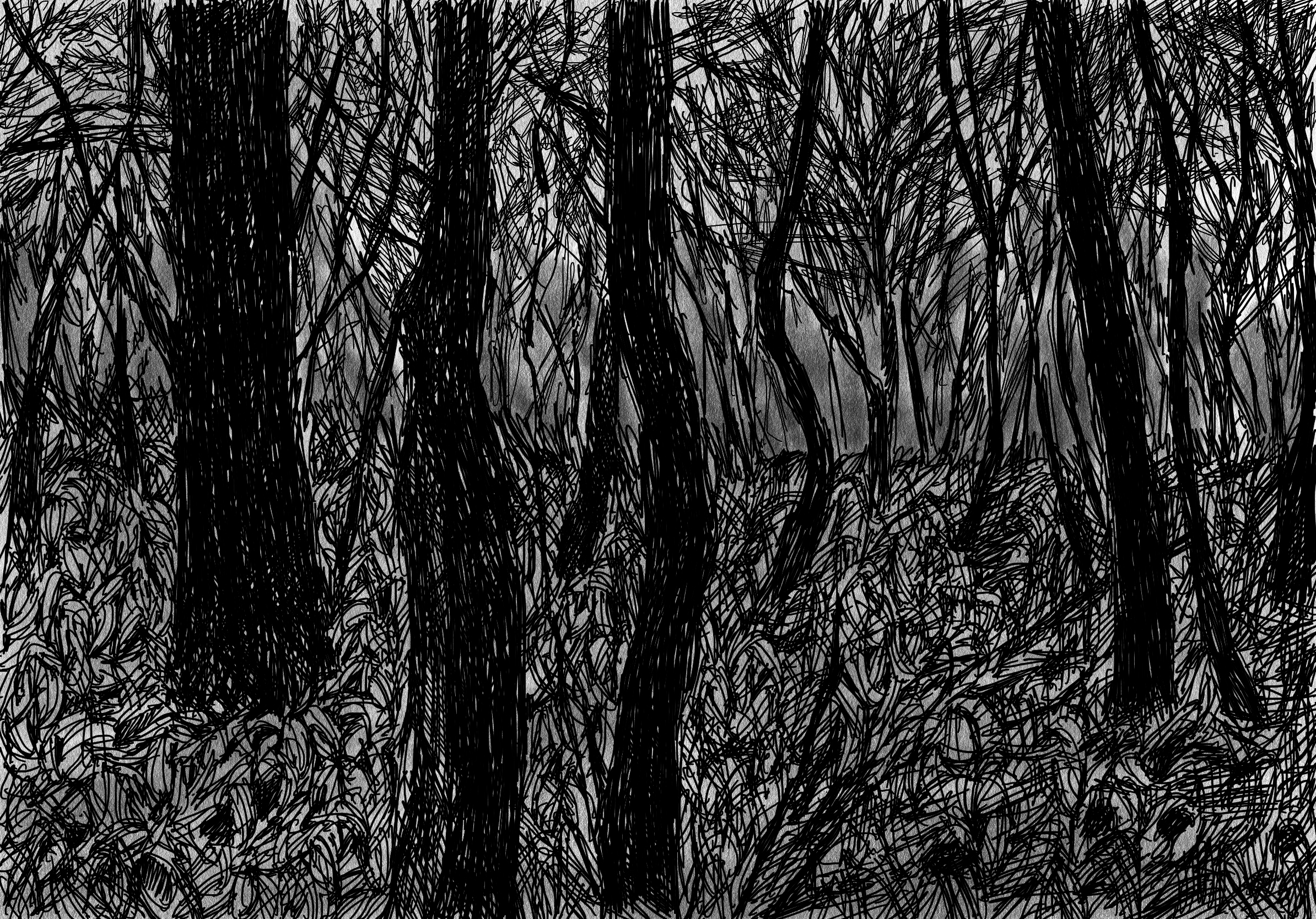 검은 숲1 A black forest_digital drawing_2023