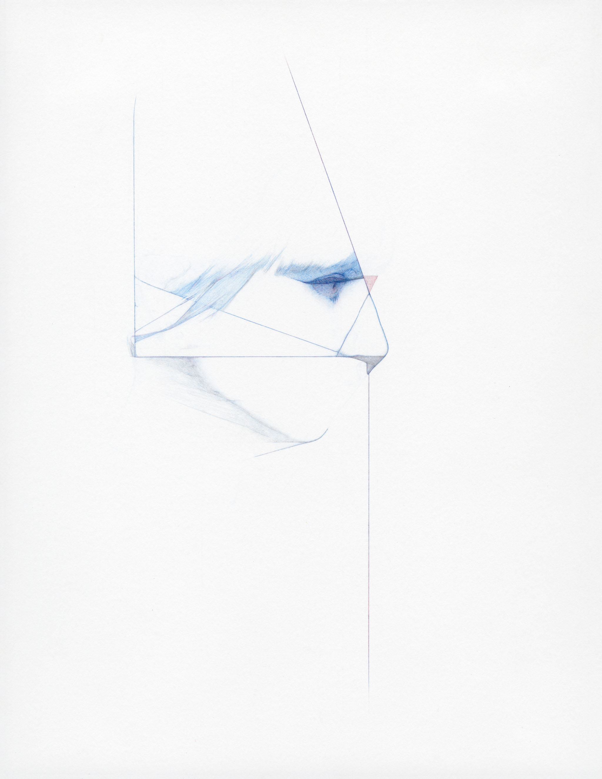 fluffed (2) 11x8.5 colored pencil and graphite on paper 2012