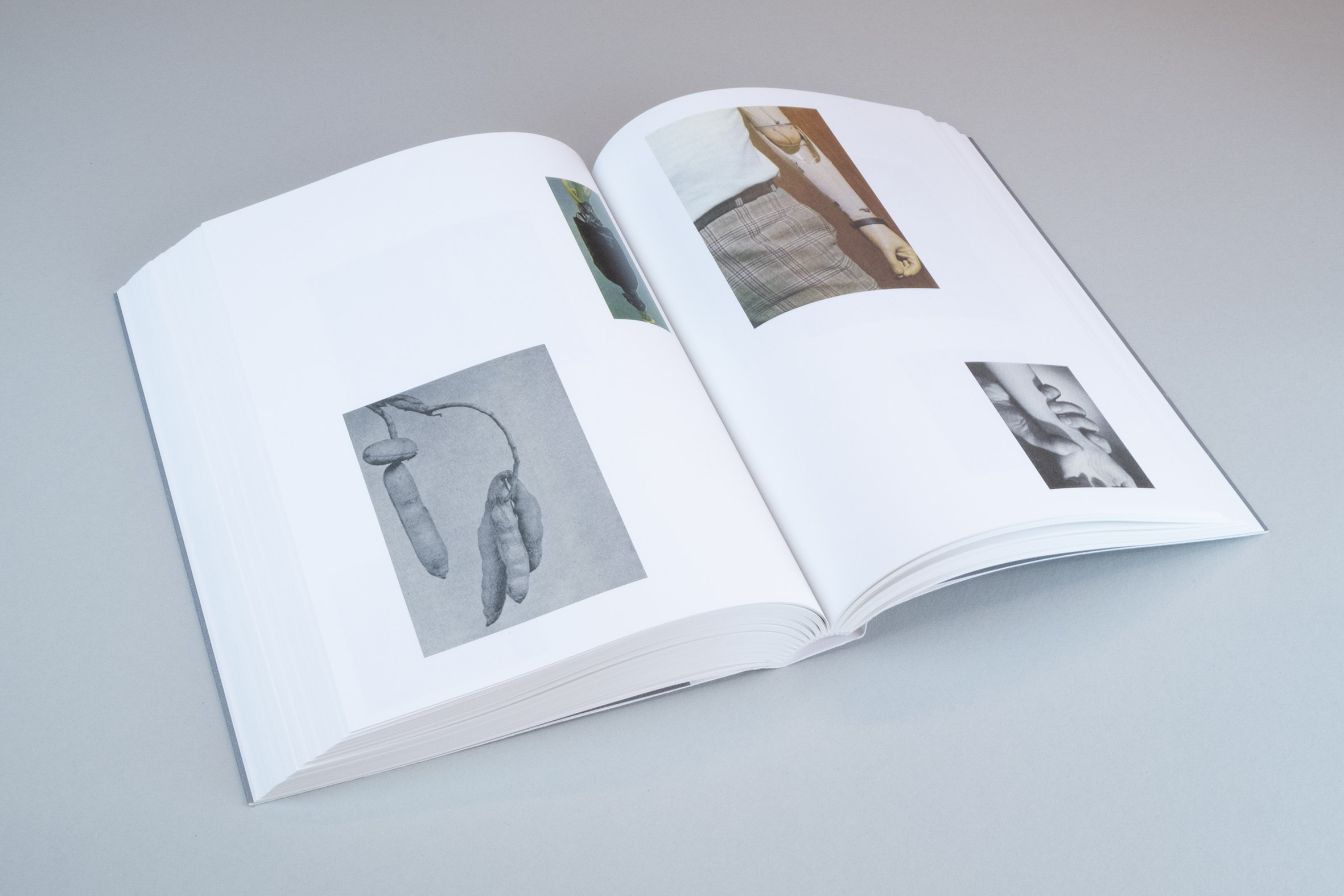 Ruth van Beek, How To Do The Flowers (Art Paper Editions)