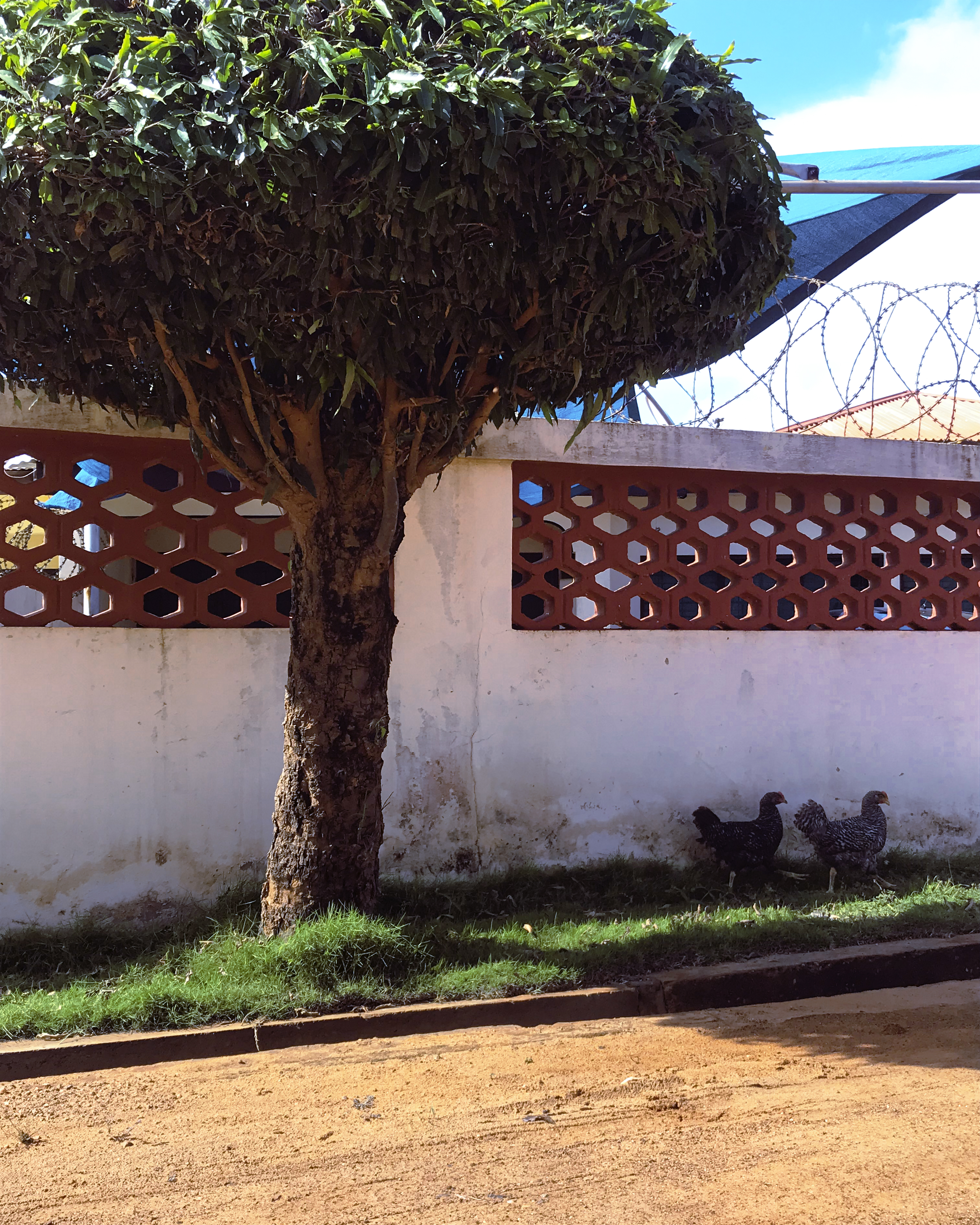 Dabban_Yoofi_Liverpool_TheIrony_UO-02