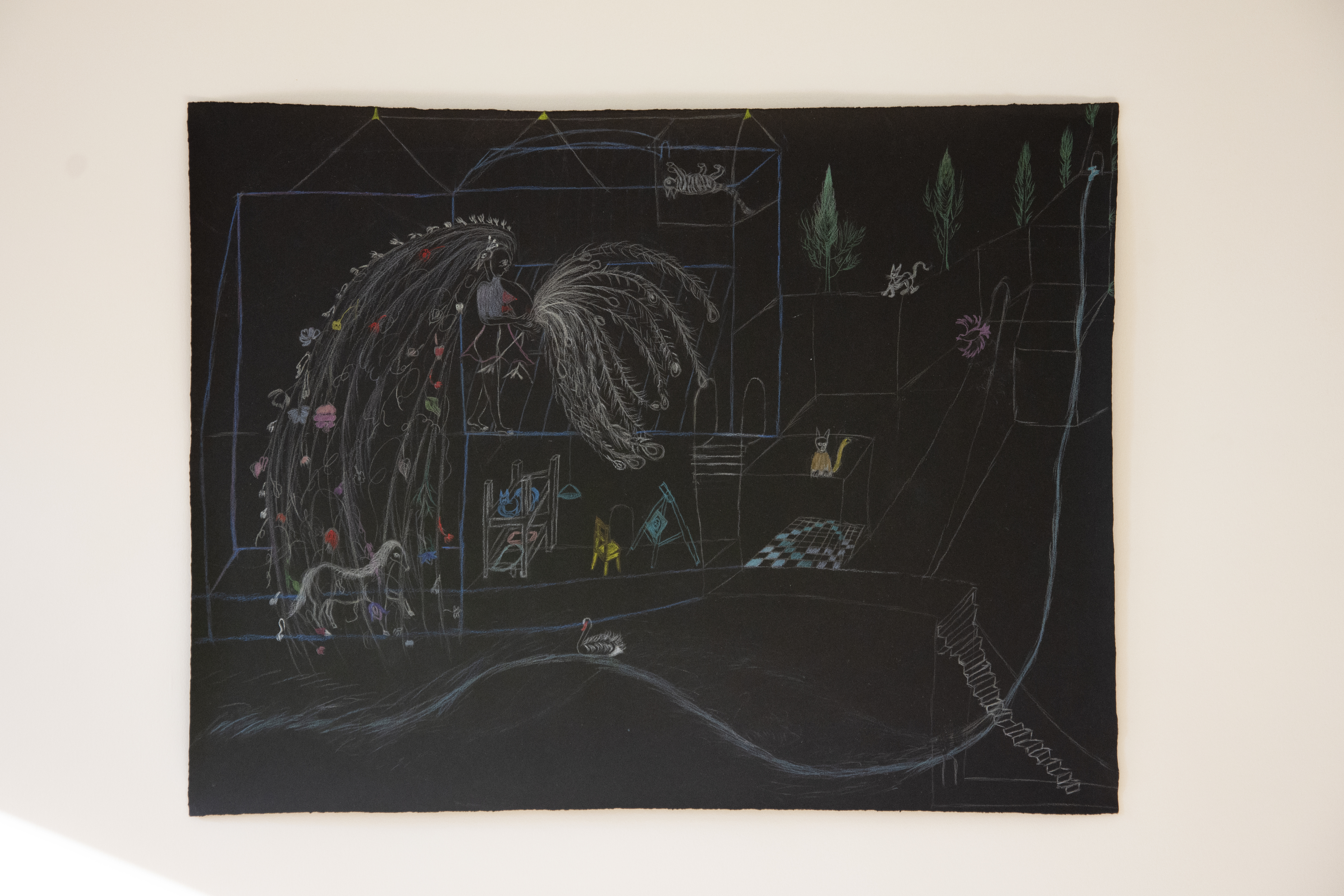 Peacock is the shadow of you, 47.4 x 62.5 cm, colored pastel on black paper,  2022