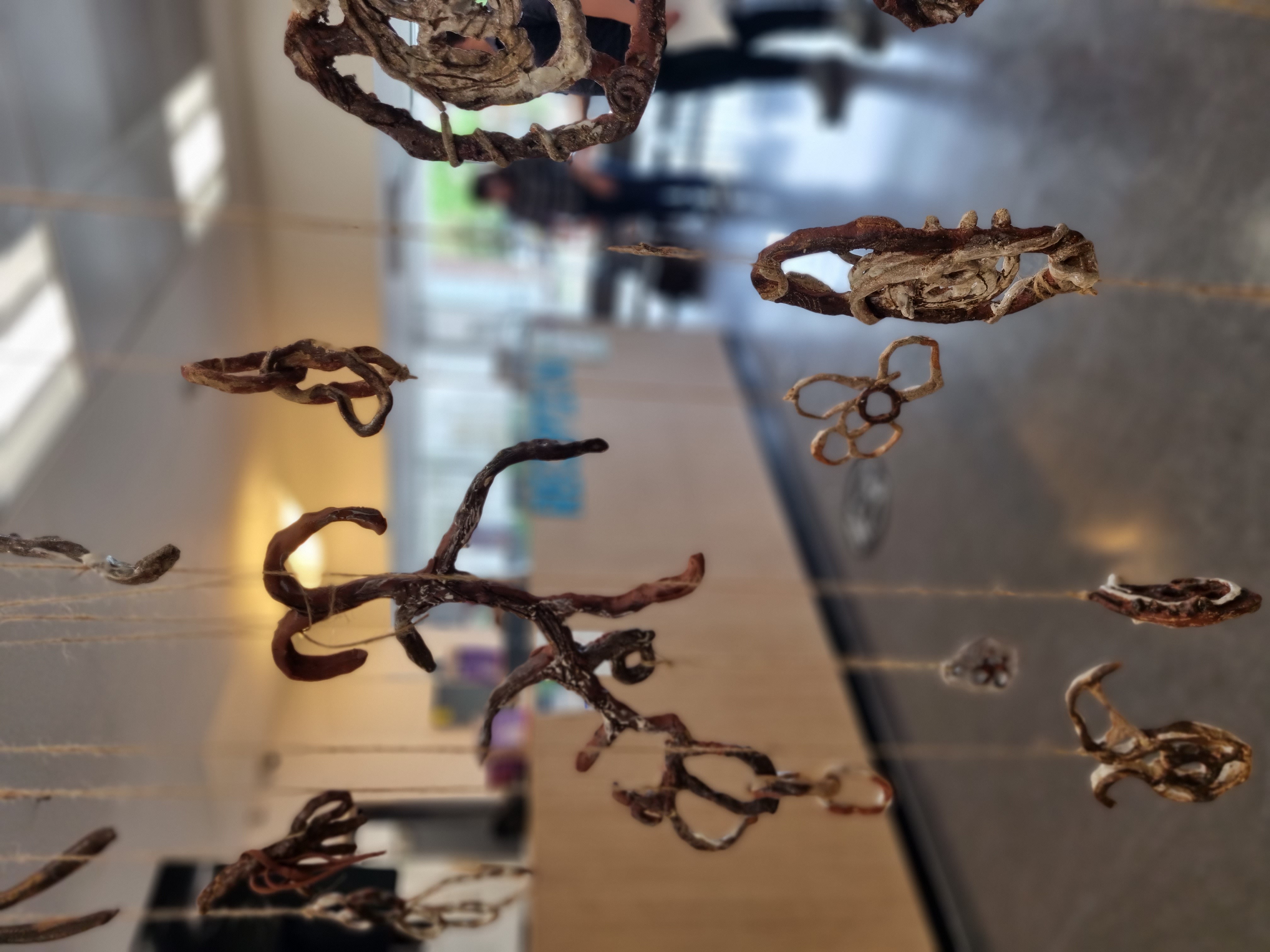 Stealing Plants, installation at "Did u miss me?" Kingston Uni Alumni Exhibition, foraged clay stoneware, wood ash glazes, Thames glaze, 2022