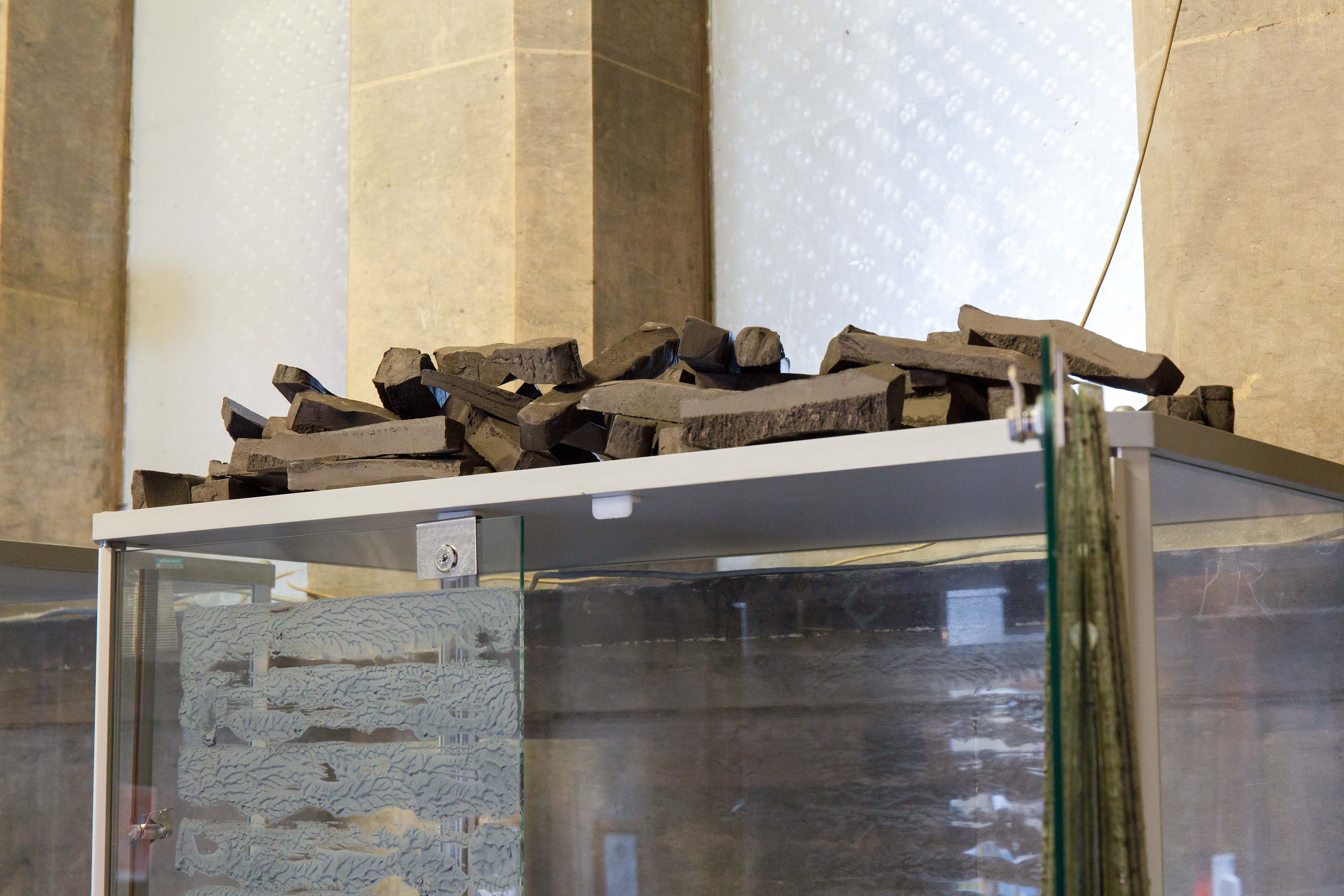 Glossaries for Forwardness, Museum Building, Trinity College Dublin, 2023, installation view. Photography by Kasia Kaminska.
