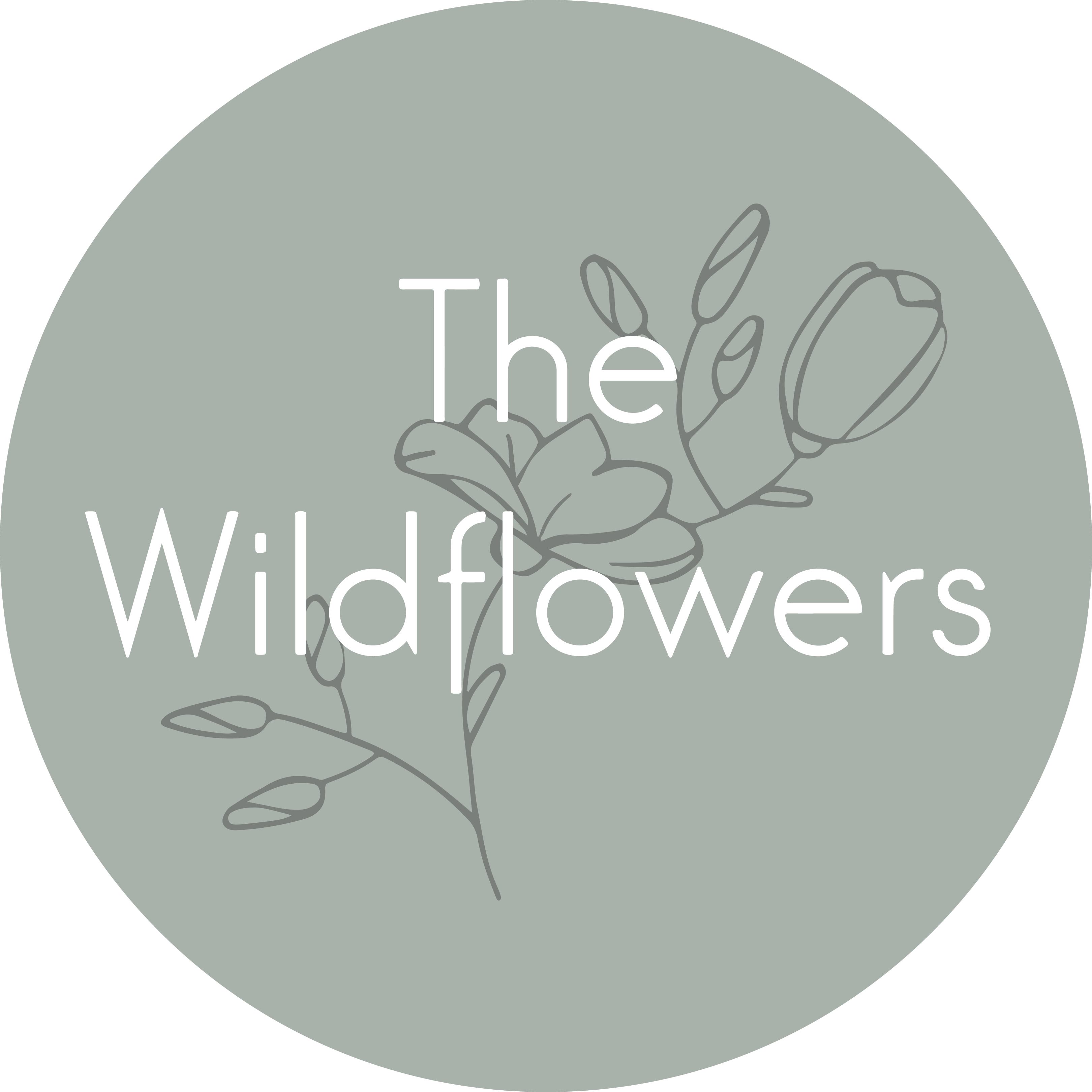 The Wildflowers Early Years