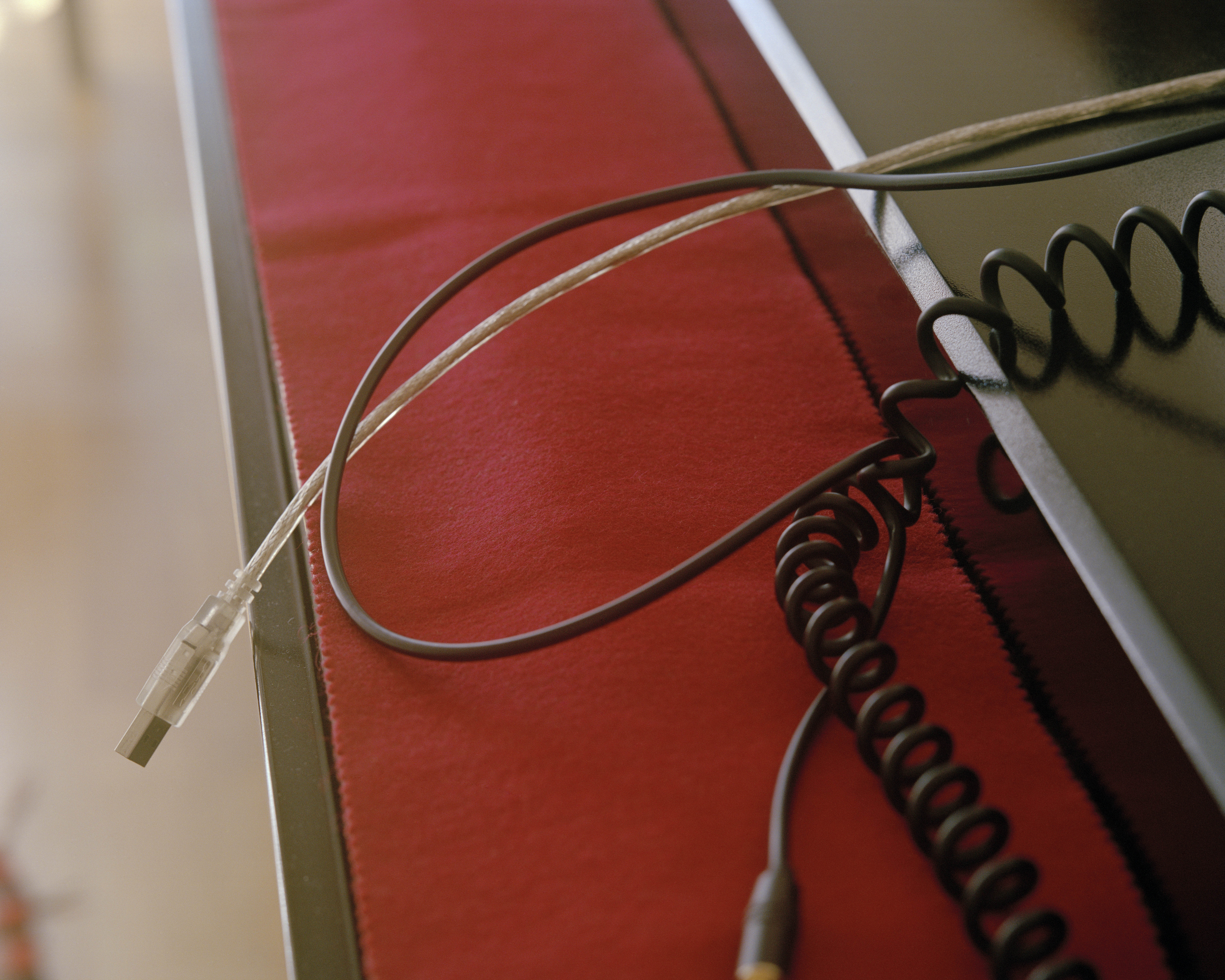 If You Could See Me Now, 2019-2020