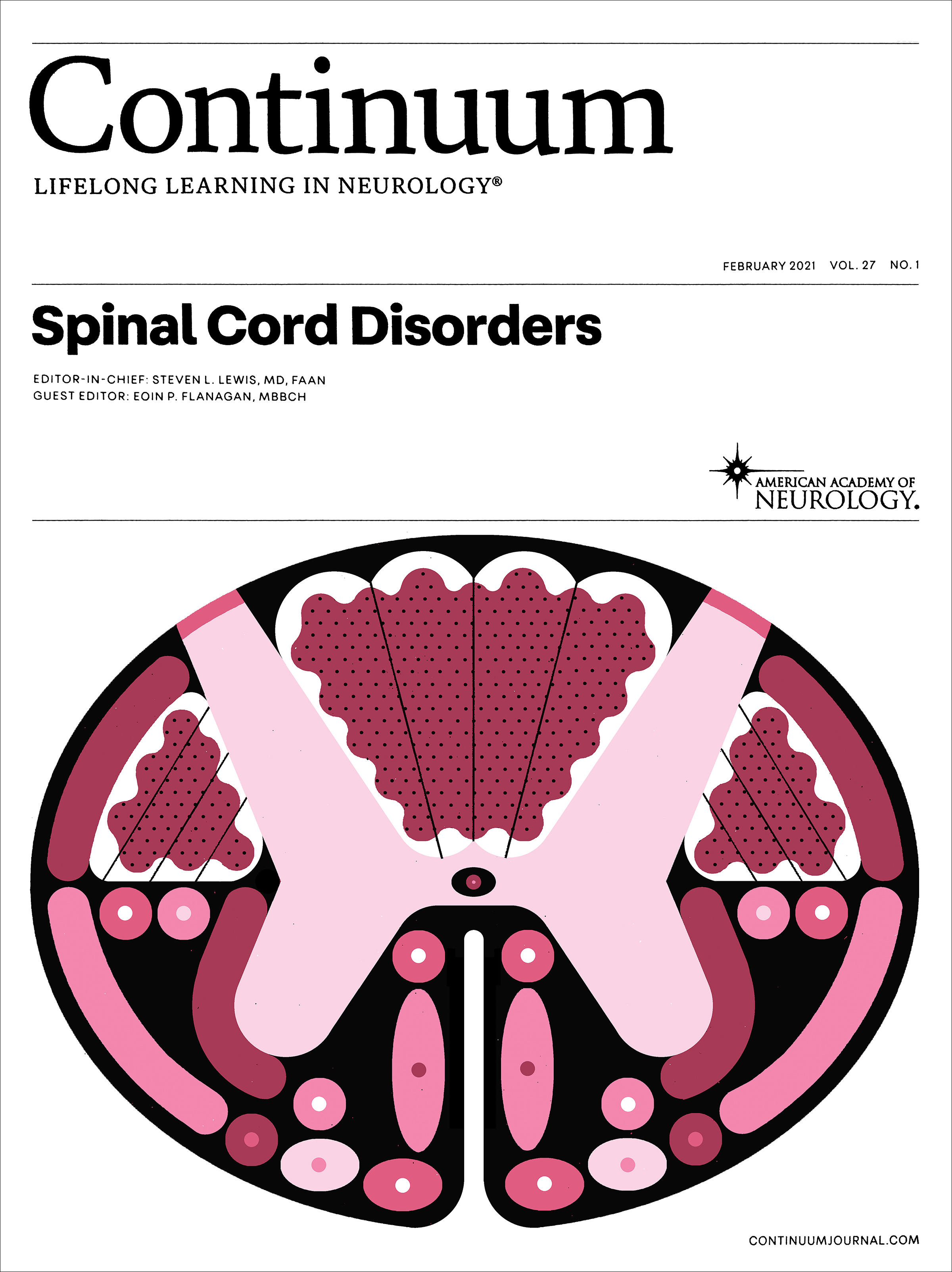 Black and pink cross section illustration of the spinal cord