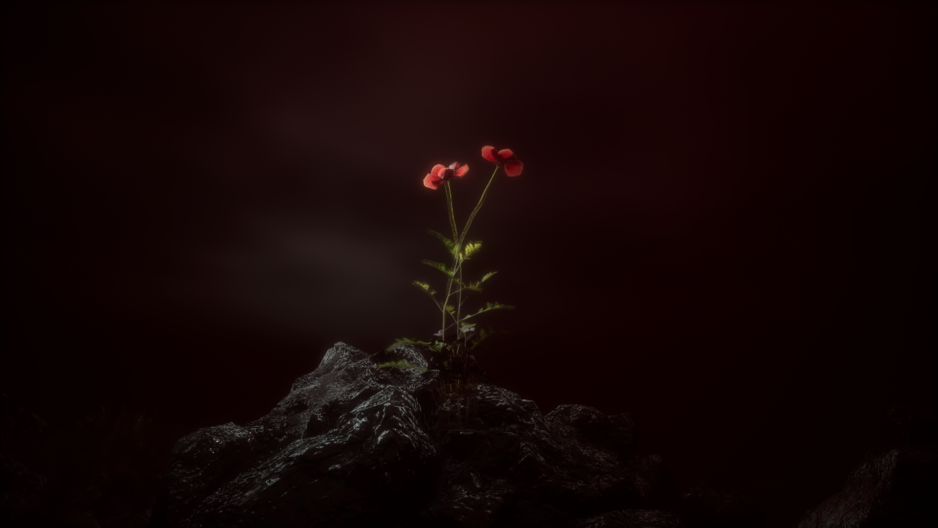 CTM Vorspiel 24 “Vanishing Twin” 