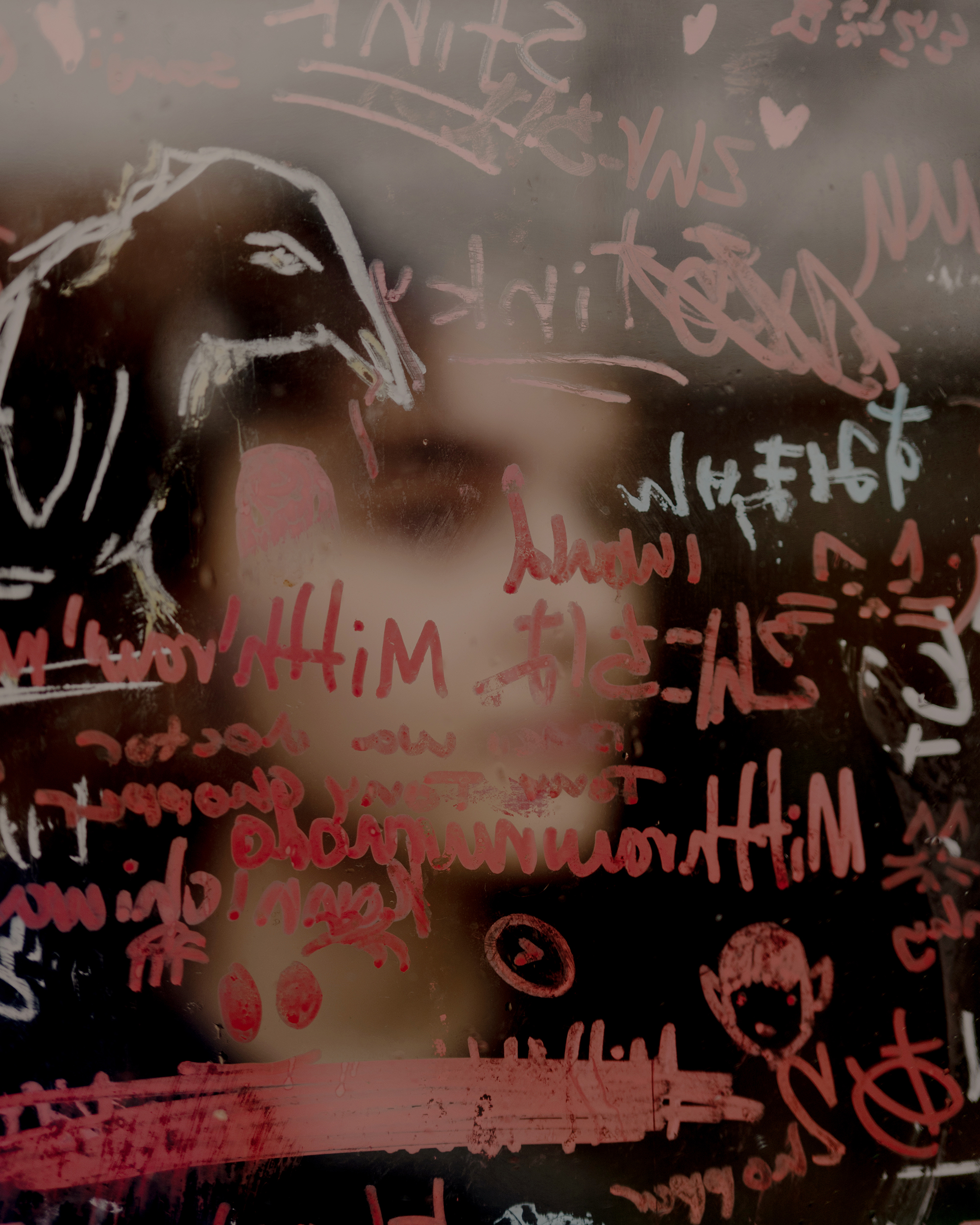 N., a transgender teenager for NYT