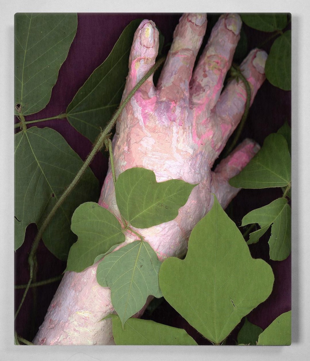 Photograph of an arm, wrist, and hand among green foliage. The skin and nails seem either fake or very irritated.