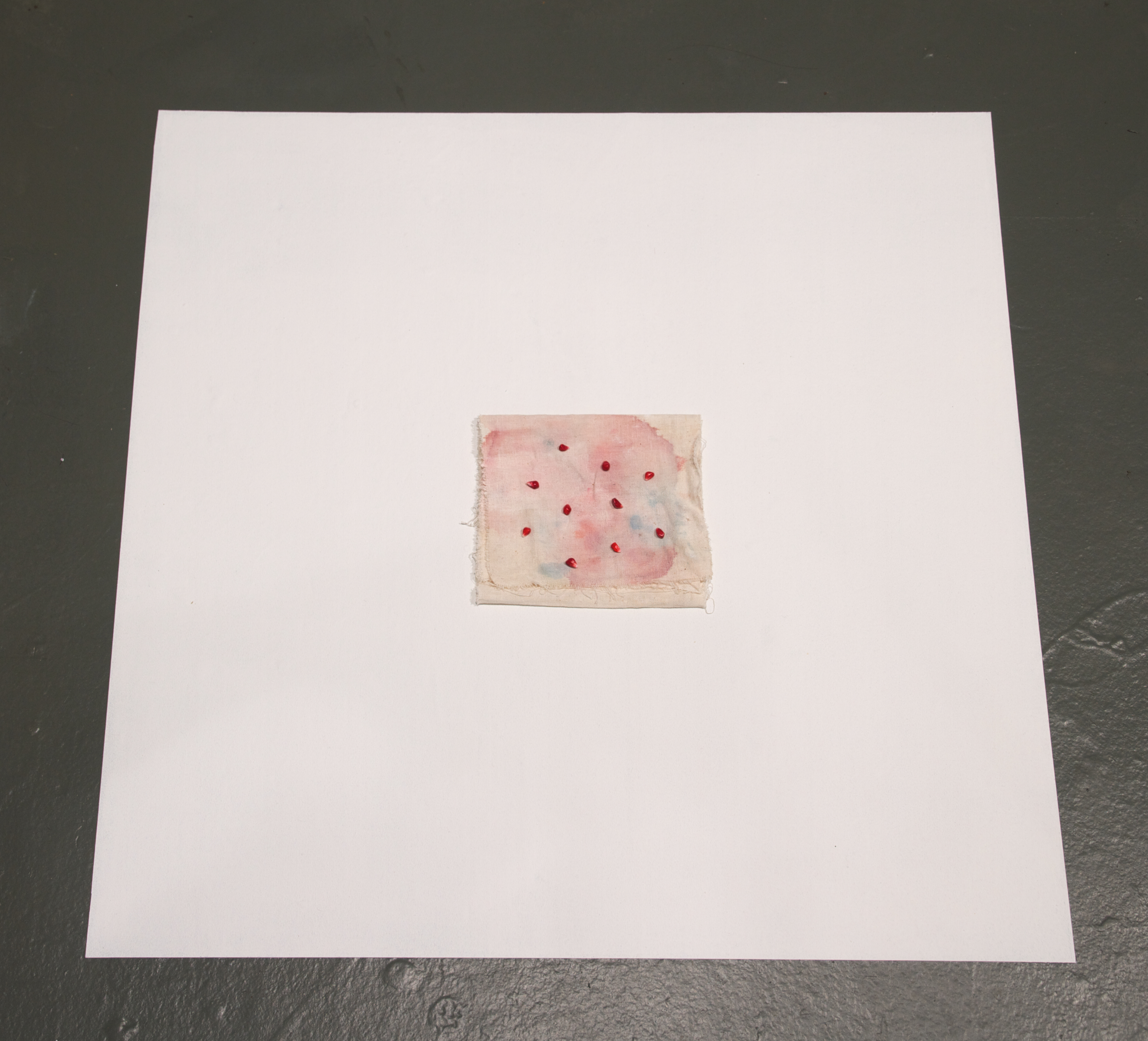 seeds, 2012paperclay, watercolor, shellac, rag, and gesso on floor