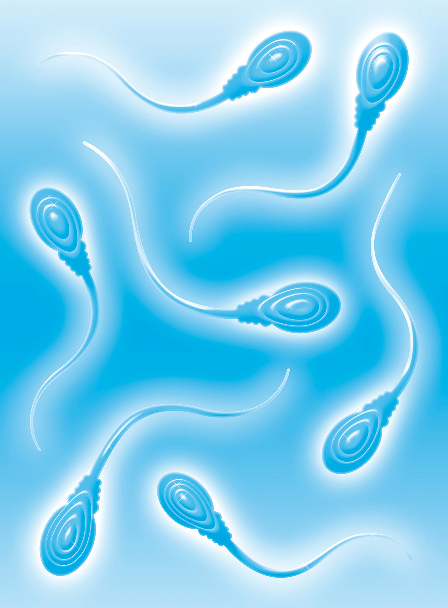 SEVEN BROTHERS Basso Magazine, 2012