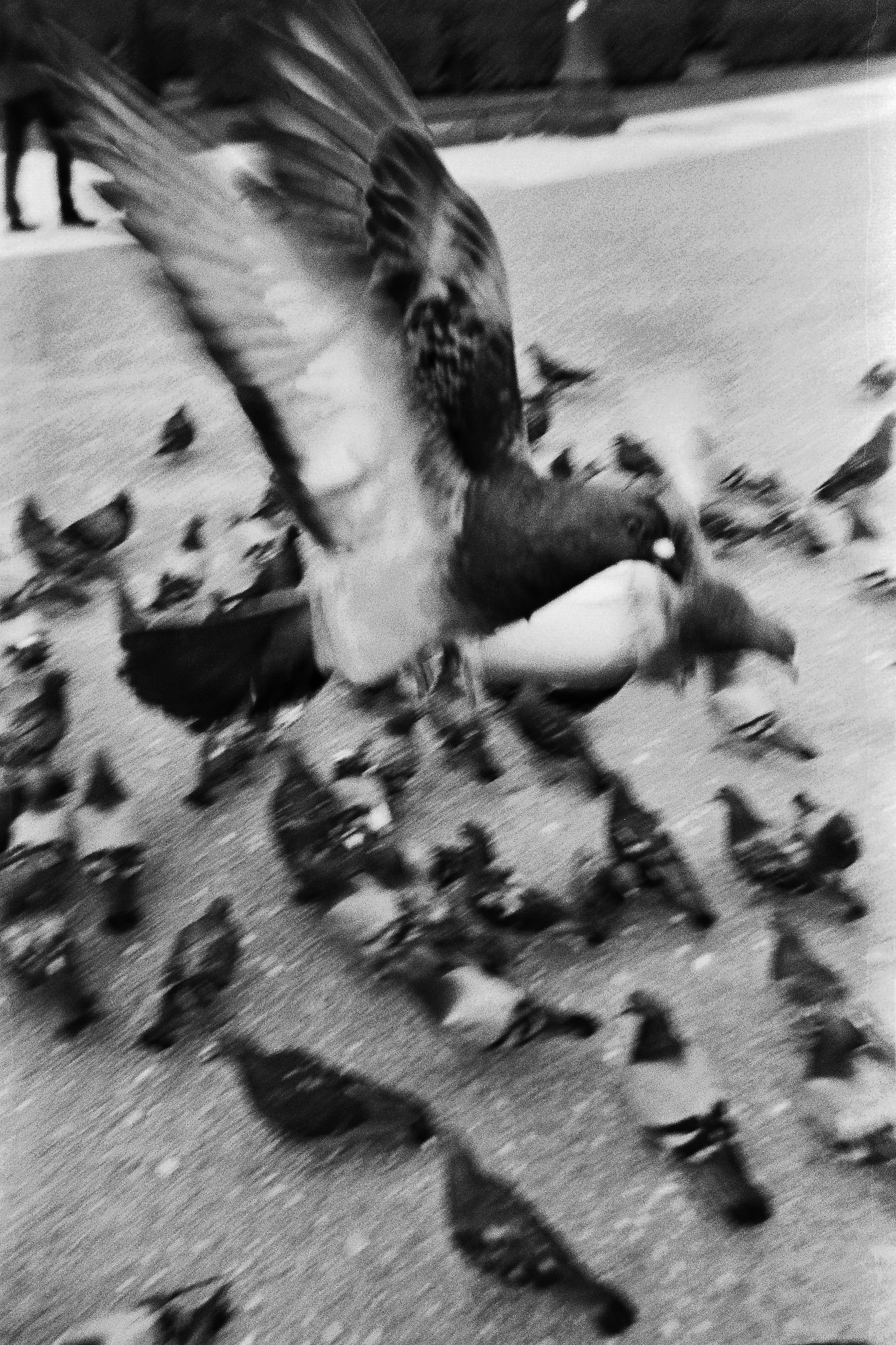 Blur, Paris, France, 2016