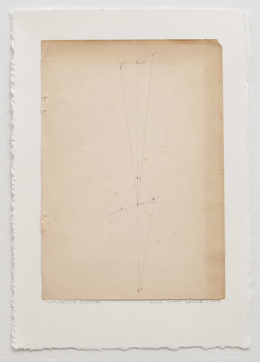 Collage, and graphite on paper. 12” x 9”