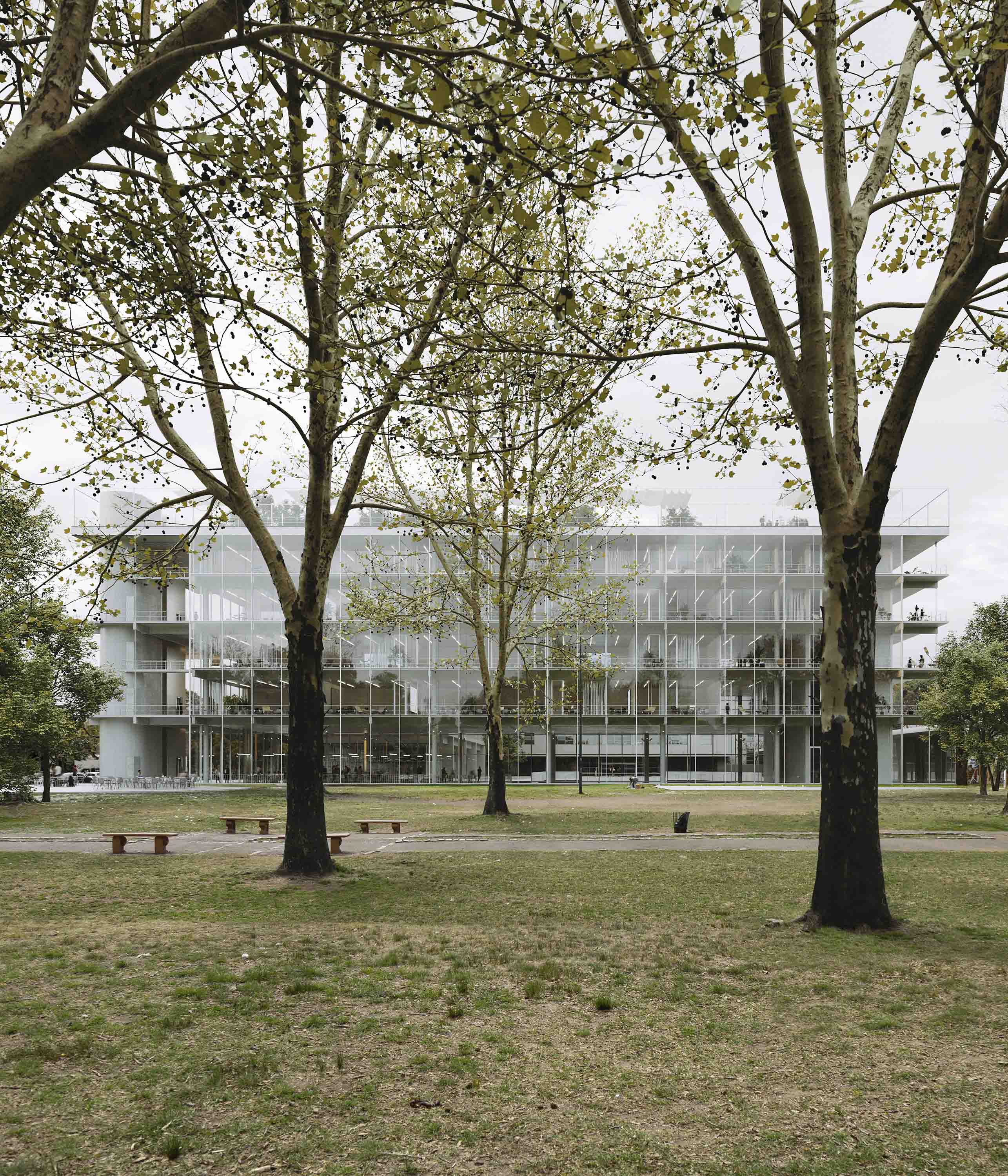 bruther + ir arquitectura + mogs - utdt