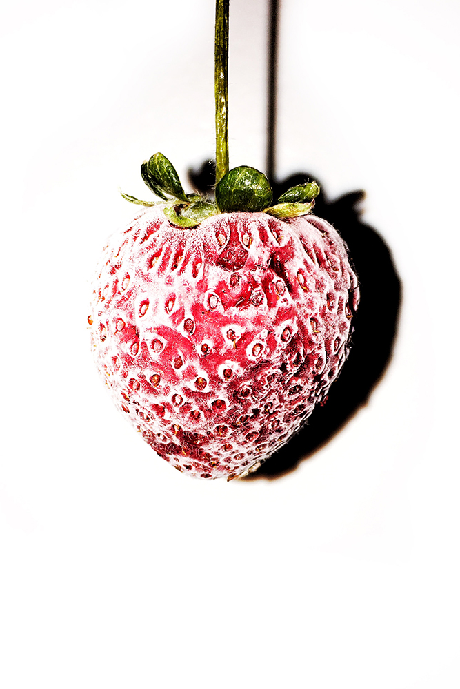 original image by Honey Yanibel Minaya Cruz