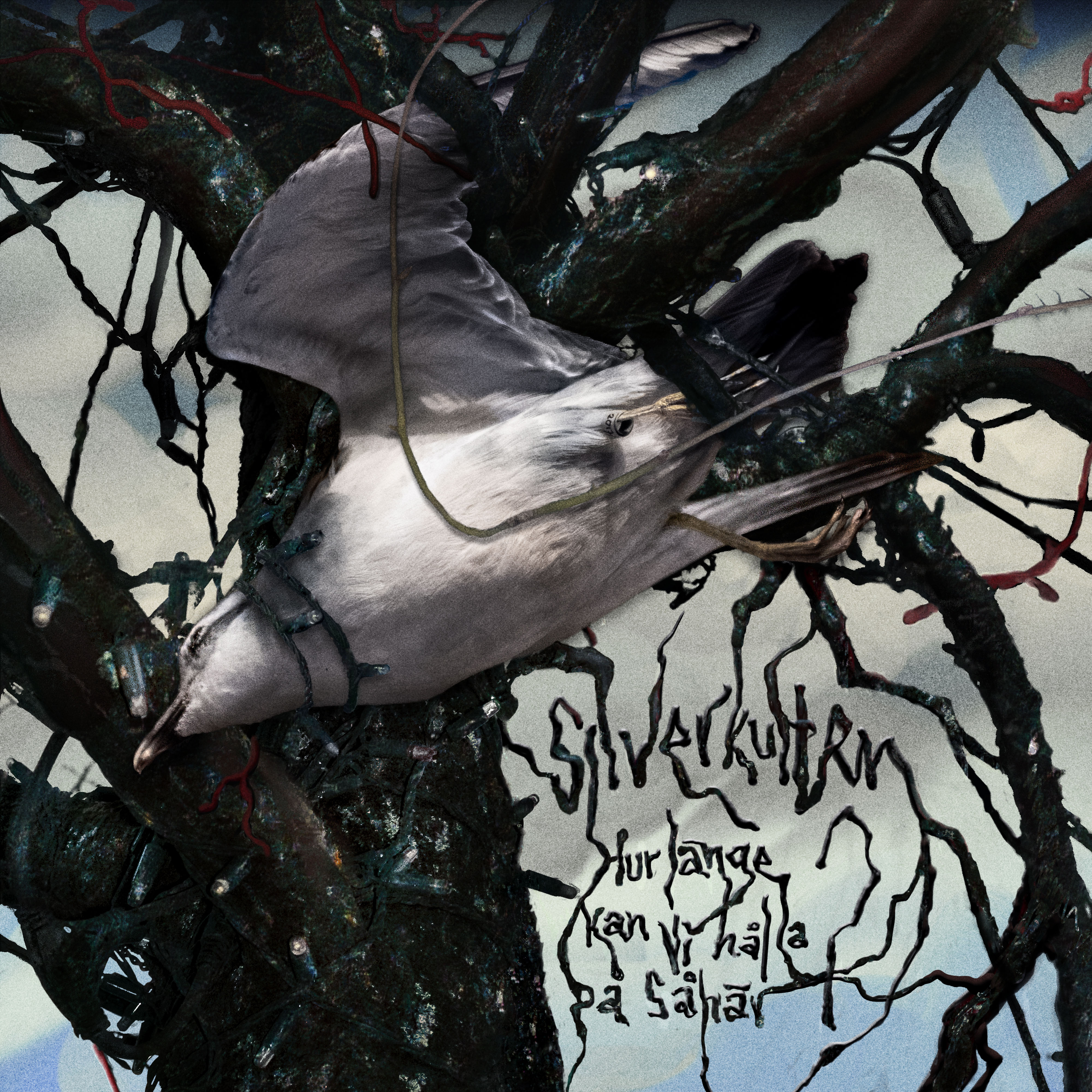 SEPREC075: Silverkulten - Hur länge kan vi hålla på så här