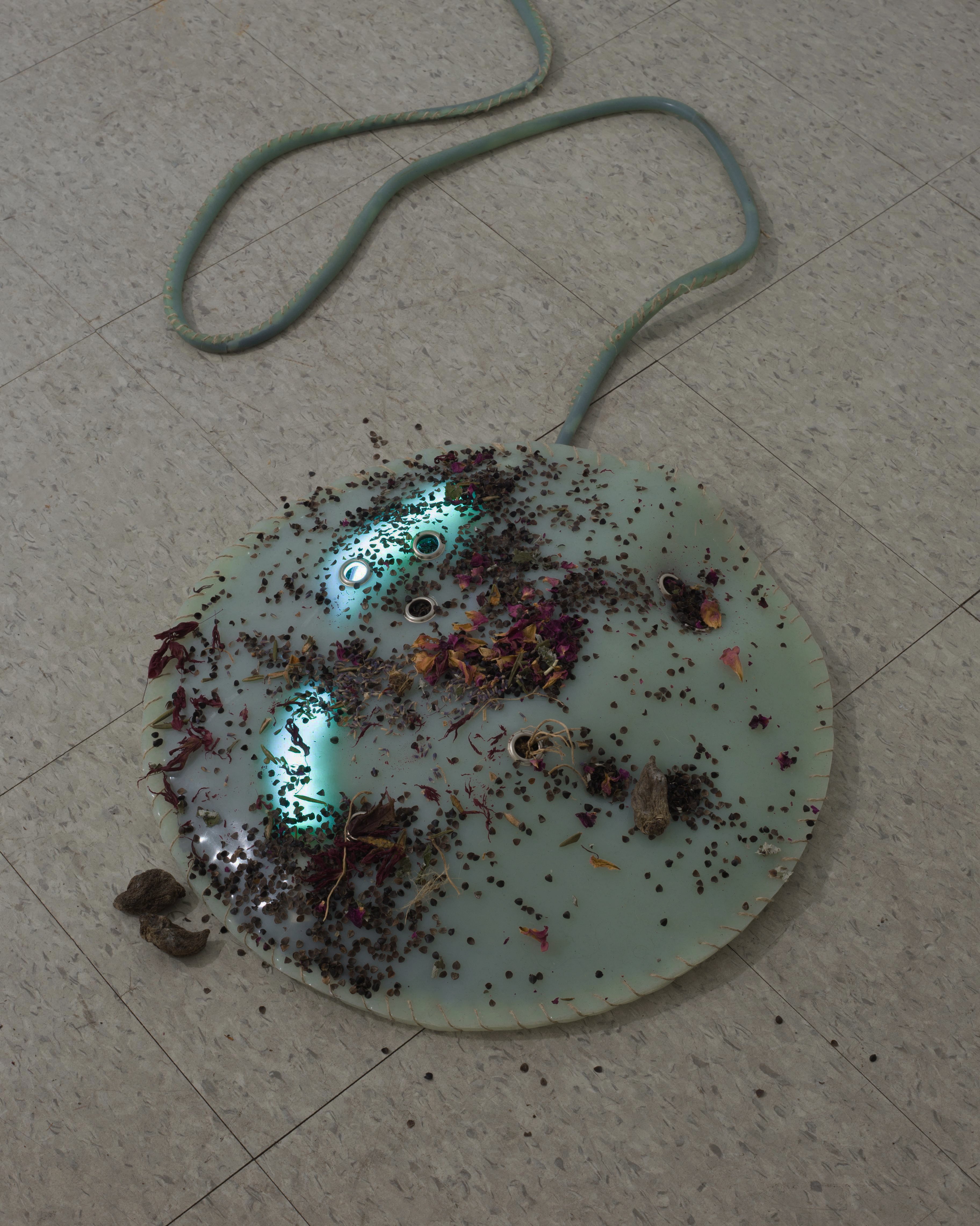 Photos © alignements