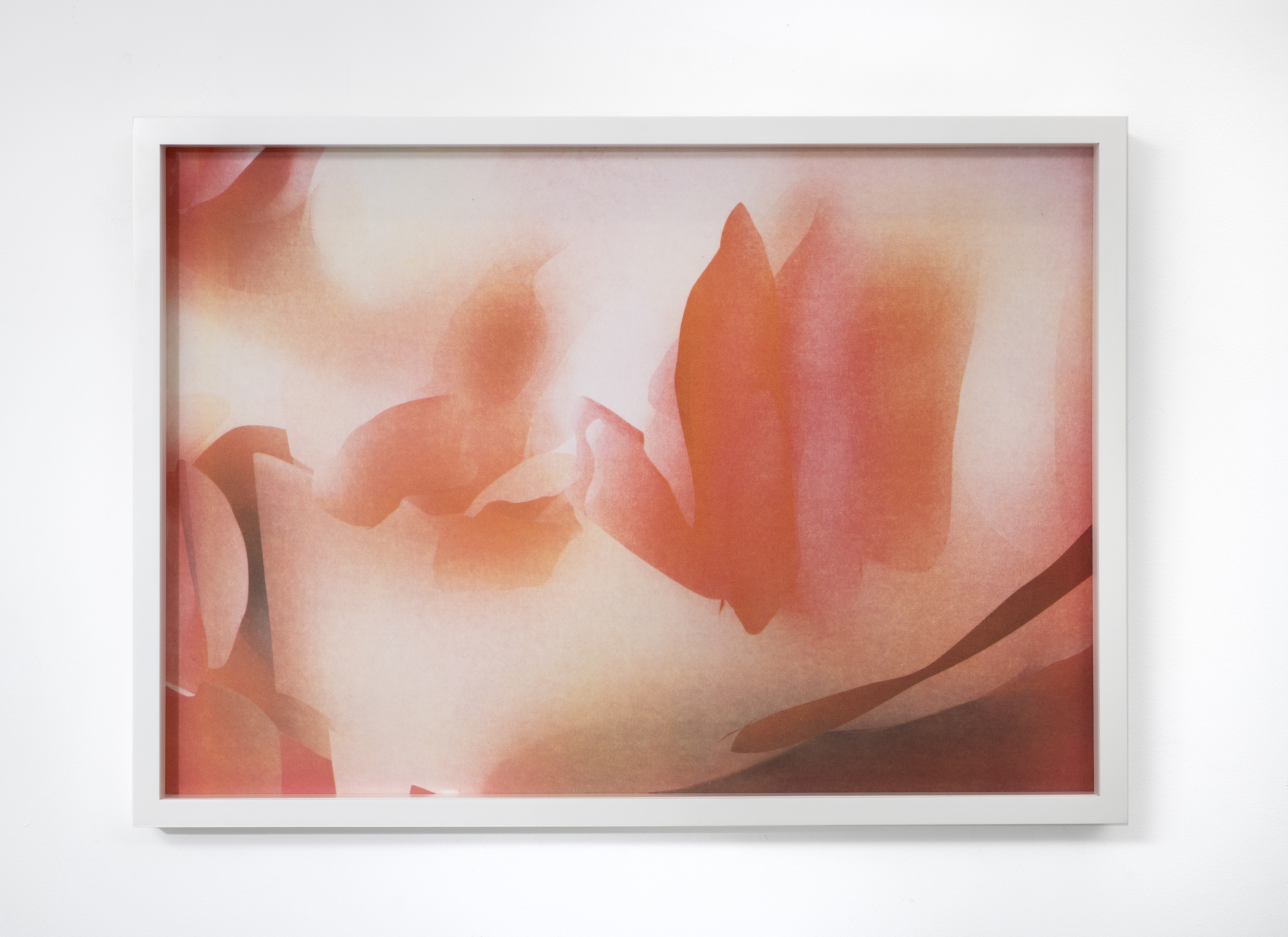 Interface, 2022 Ink on paper 42 x 59 cm 1 of 3