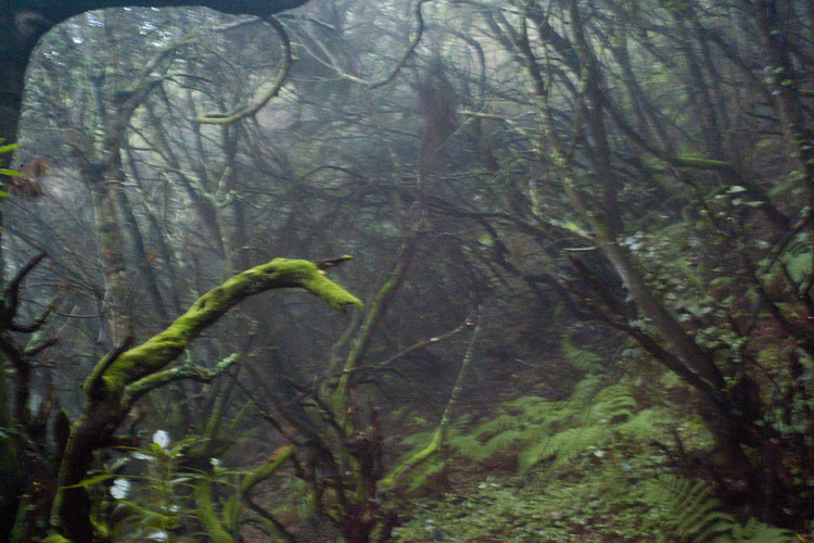 1/0  La Palma,  La Isla Bonita oder die Schöne.