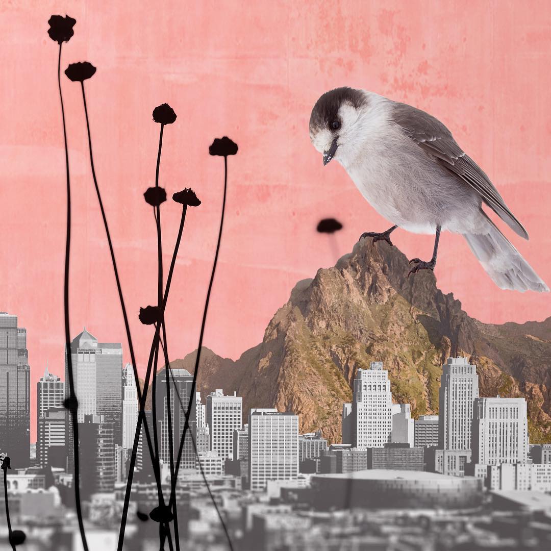 Rocio Fernandez Lorca