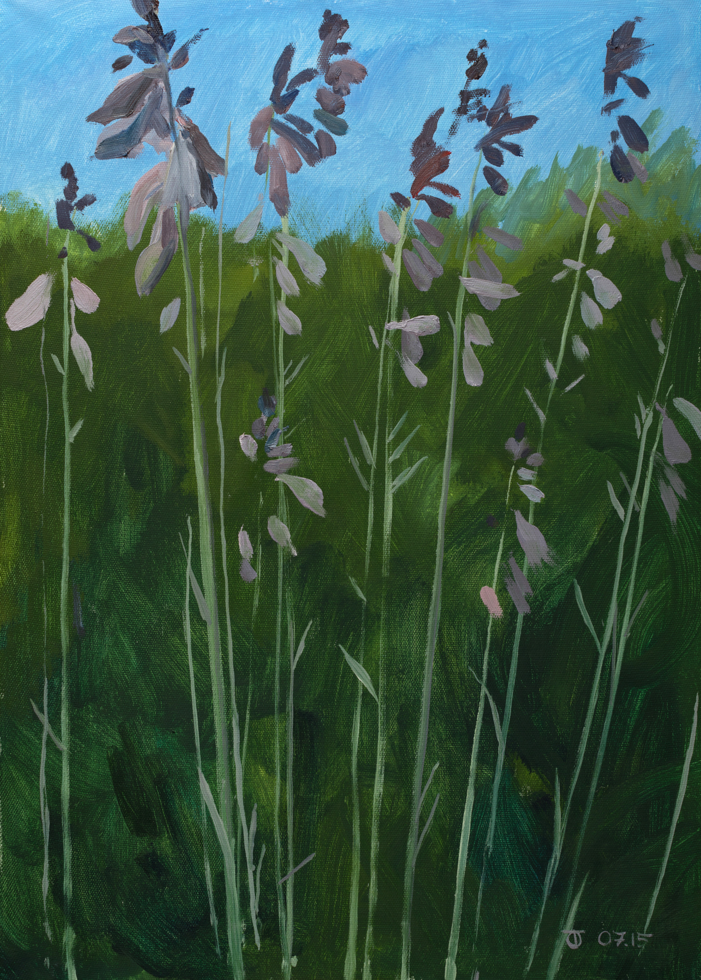 Hosta  2015  Oil on canvas 60x80