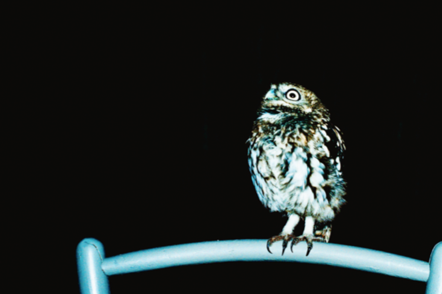 Je marcherai sur tes traces © Laure Pubert