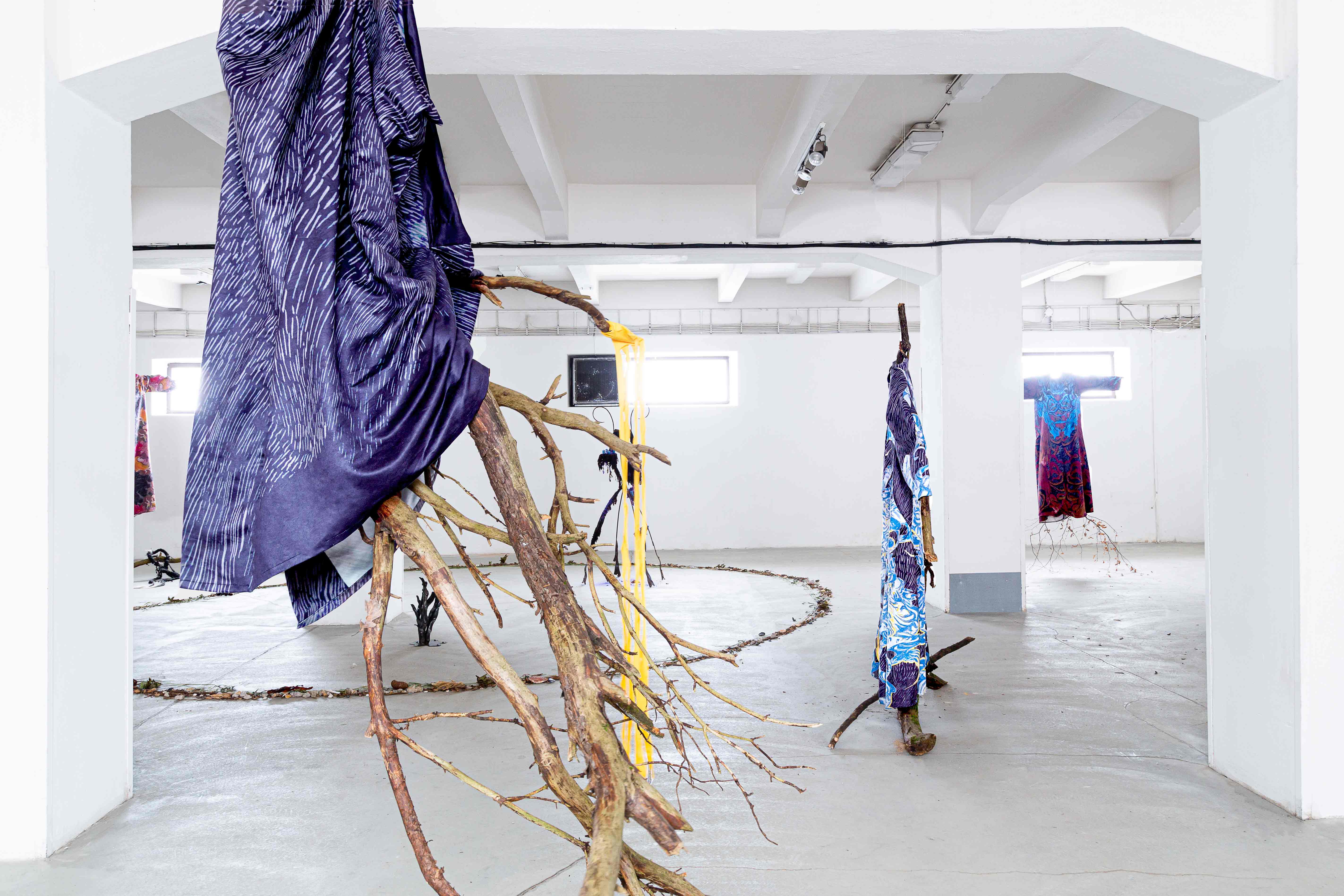 From Arid Landscapes to Ancient Waters, 2024