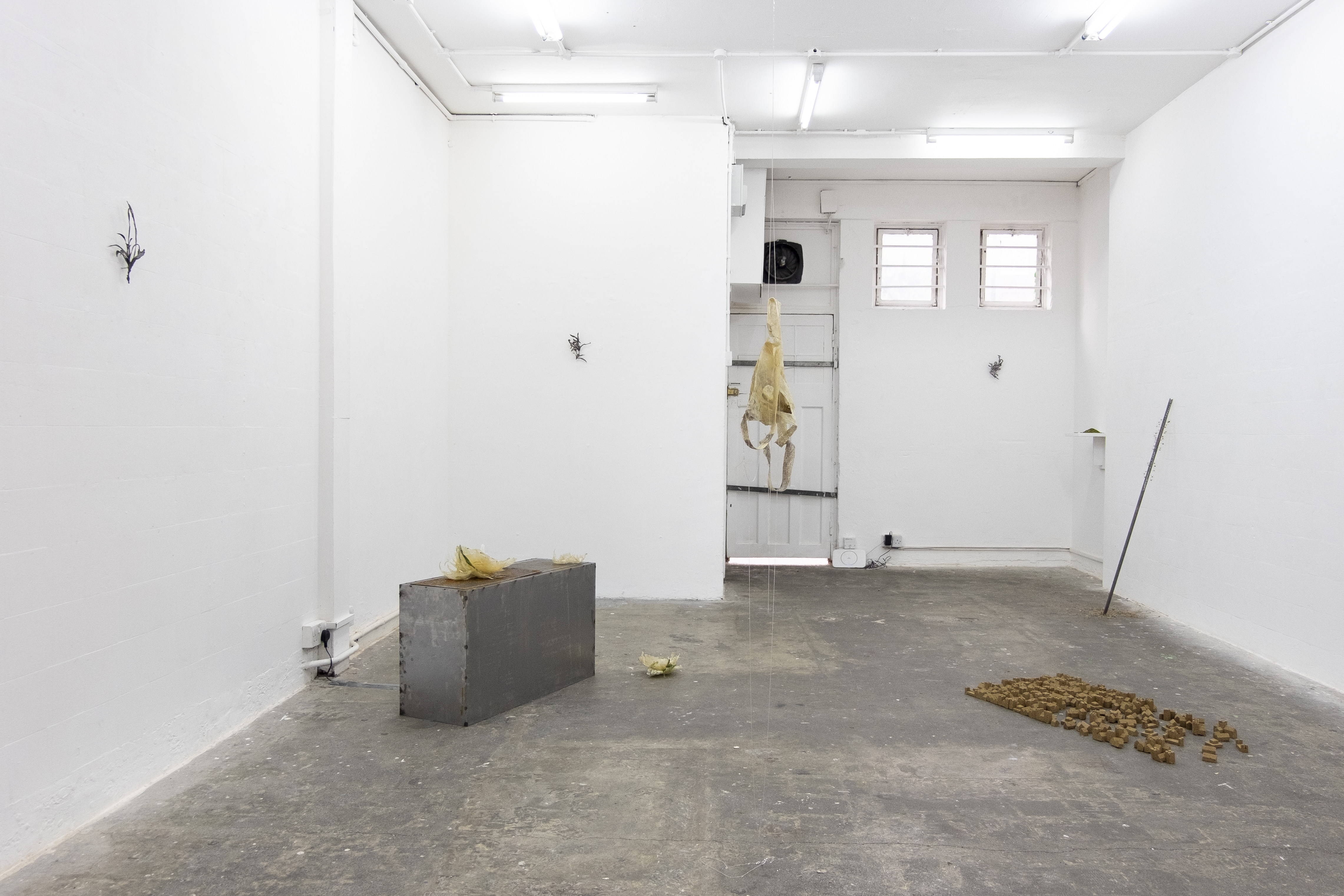 Installation view. Jasmine Pajdak [photo credit: M8R8S Studio]