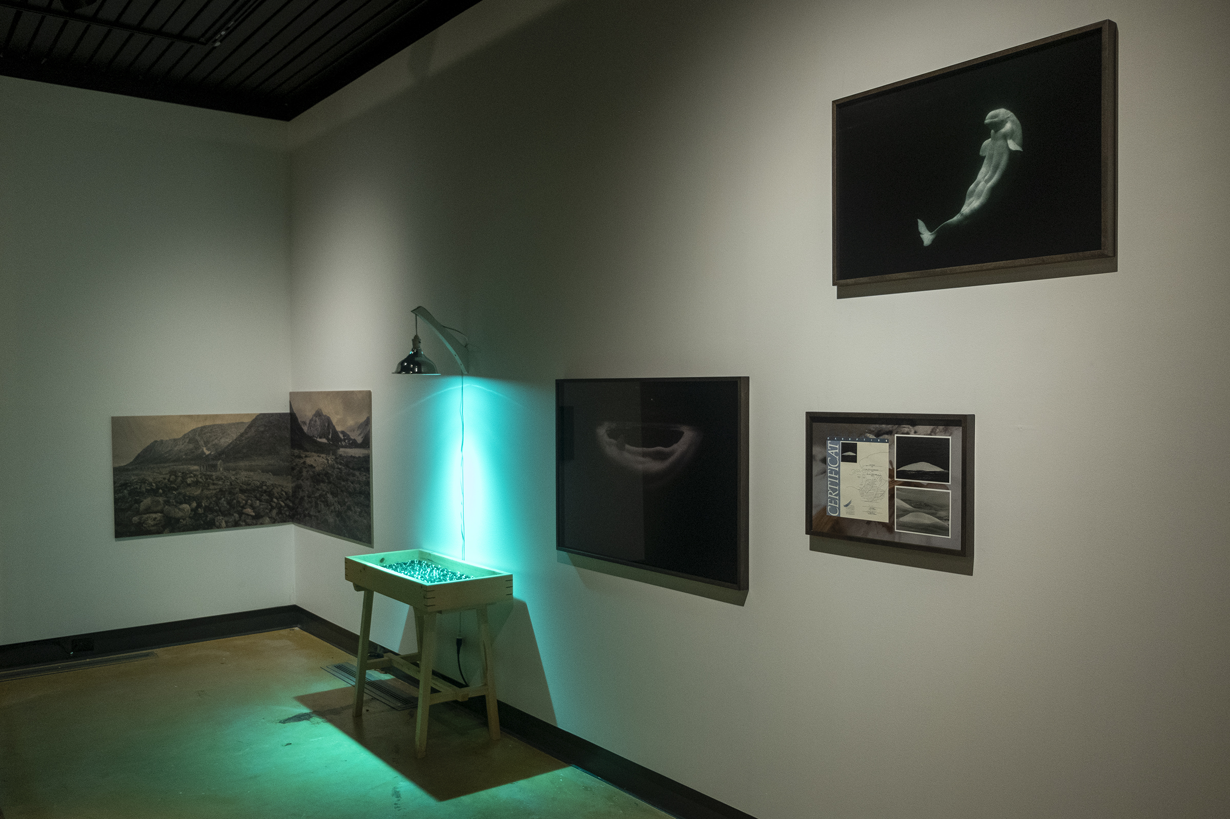 Dans l'œil du béluga, Galerie d’art Louise-et-Reuben-Cohen de l'Université de Moncton, 2025