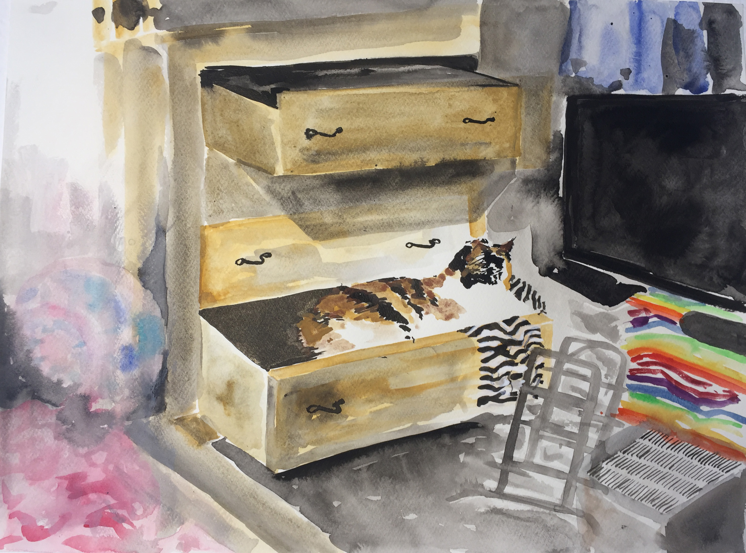 Cat in the drawer, A6, A5