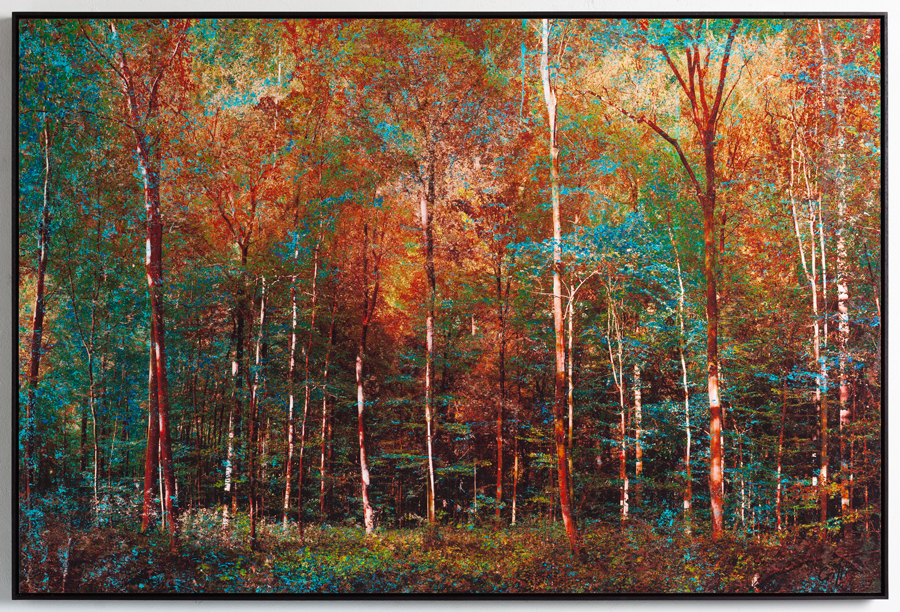 "Sentiers mystérieux", 120x80cm, 2023