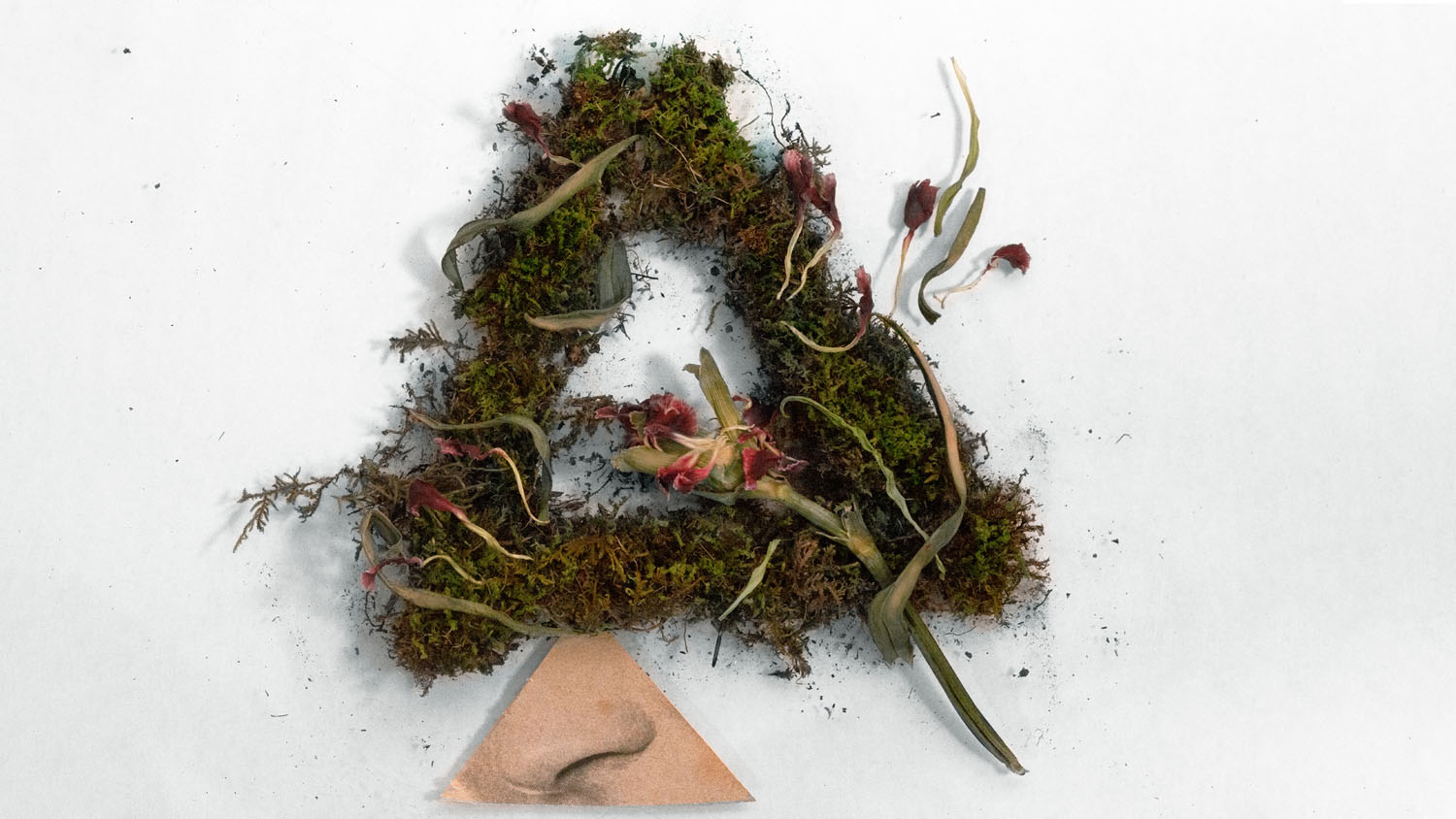 Smell Your Flowers, Distanced Decay