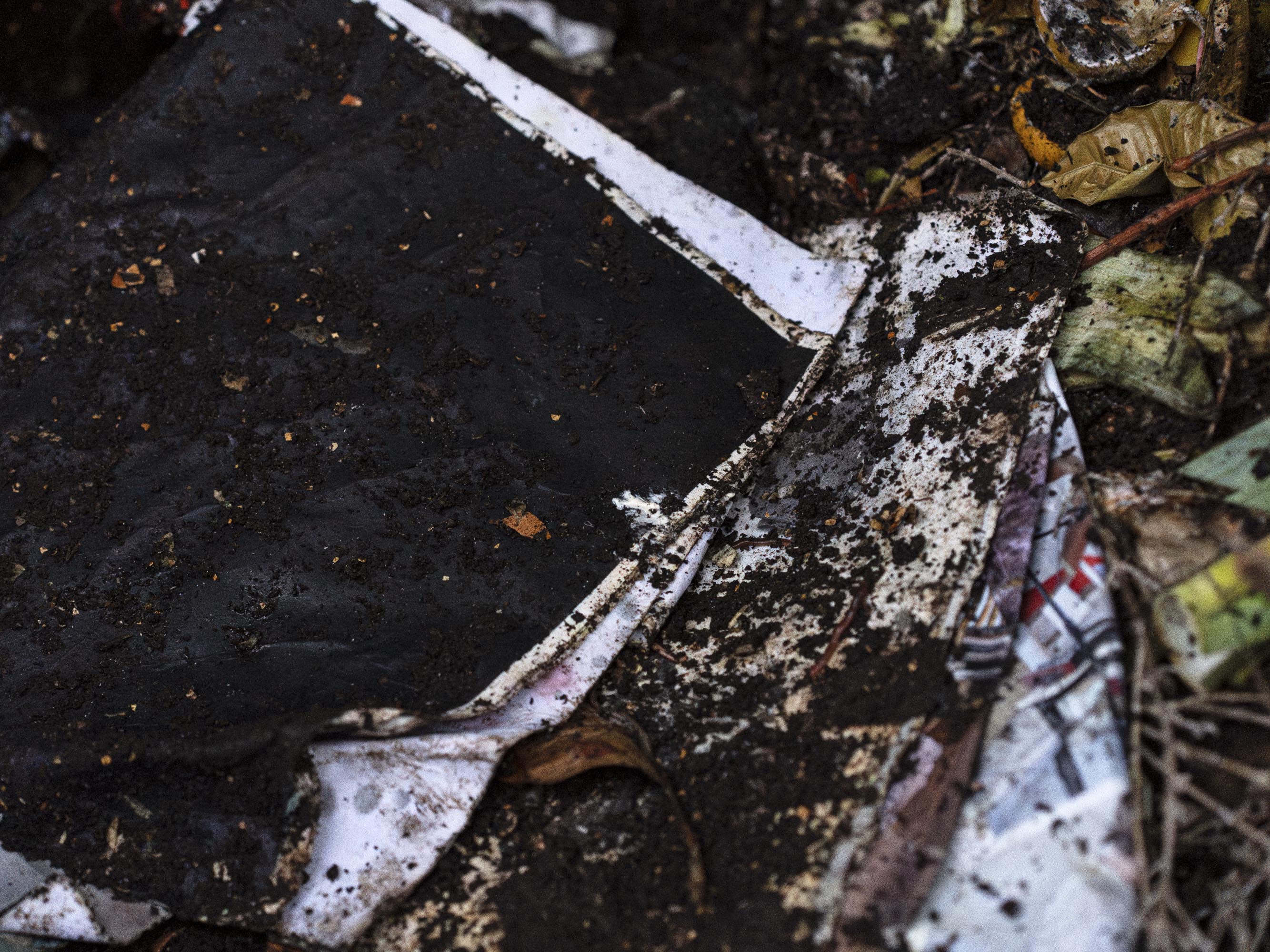 Photo: Raphael Stucky